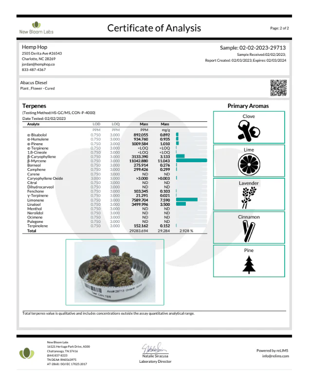 Abacus Diesel CBD Flower - Image 4