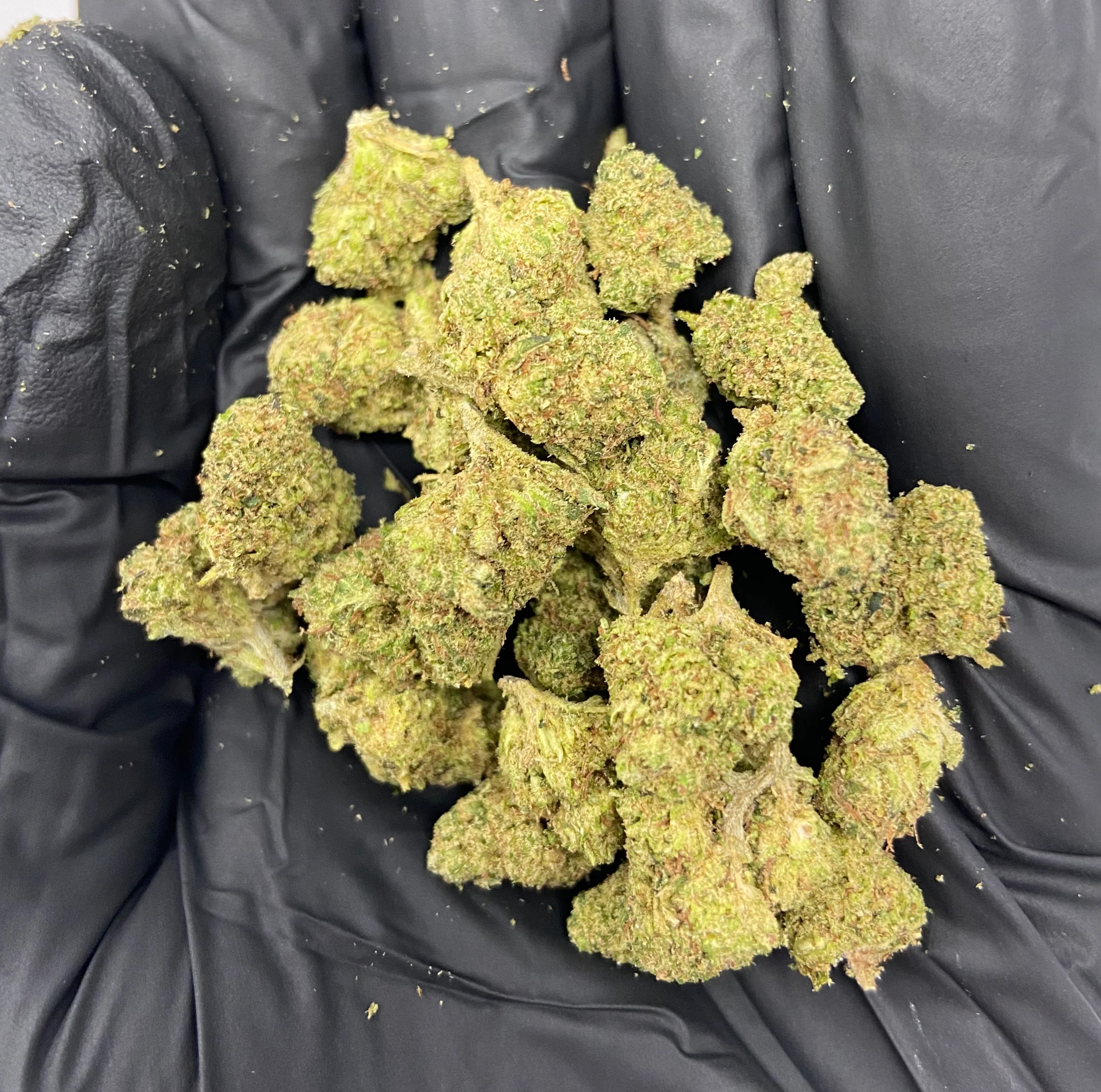 Abacus Diesel CBD Flower - Image 5