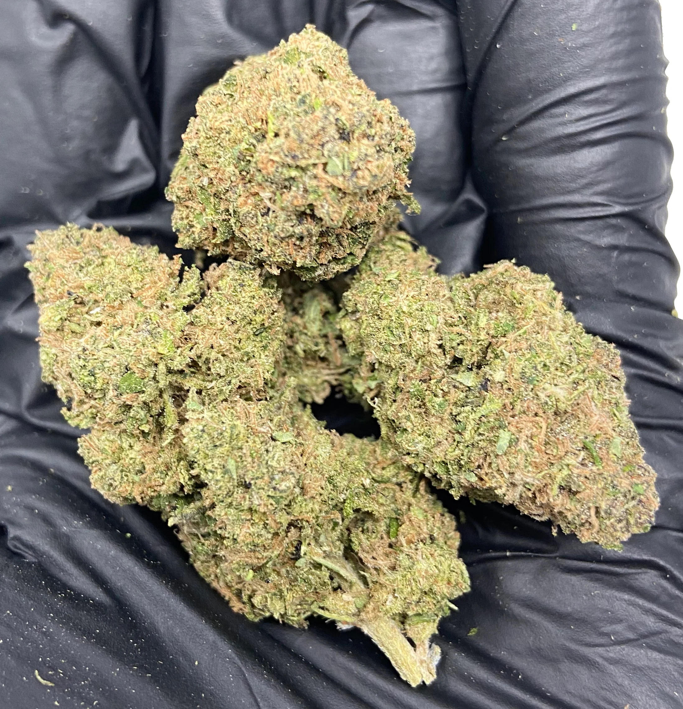 Abacus Diesel CBD Flower - Image 8