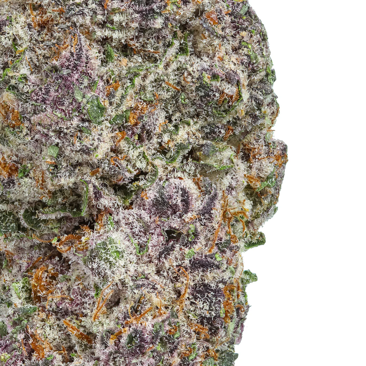 Alien Grapes THCa Flower - Image 2