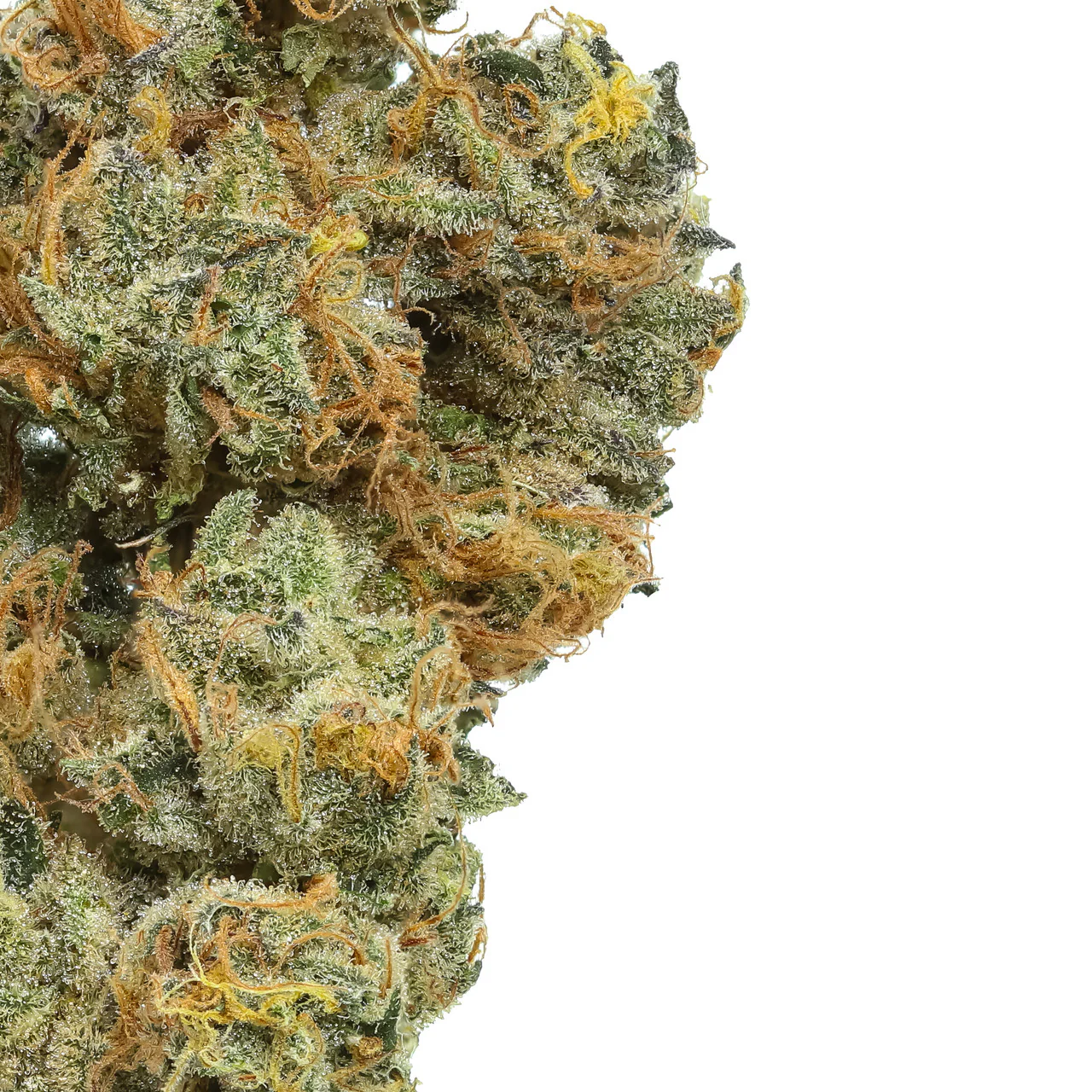 Apple Sauce CBD Flower - Image 2