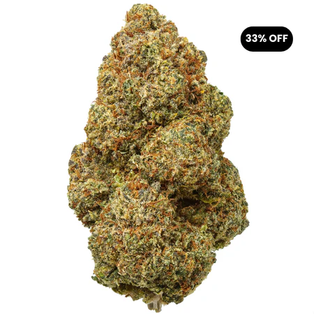 Bermuda Triangle THCa Flower