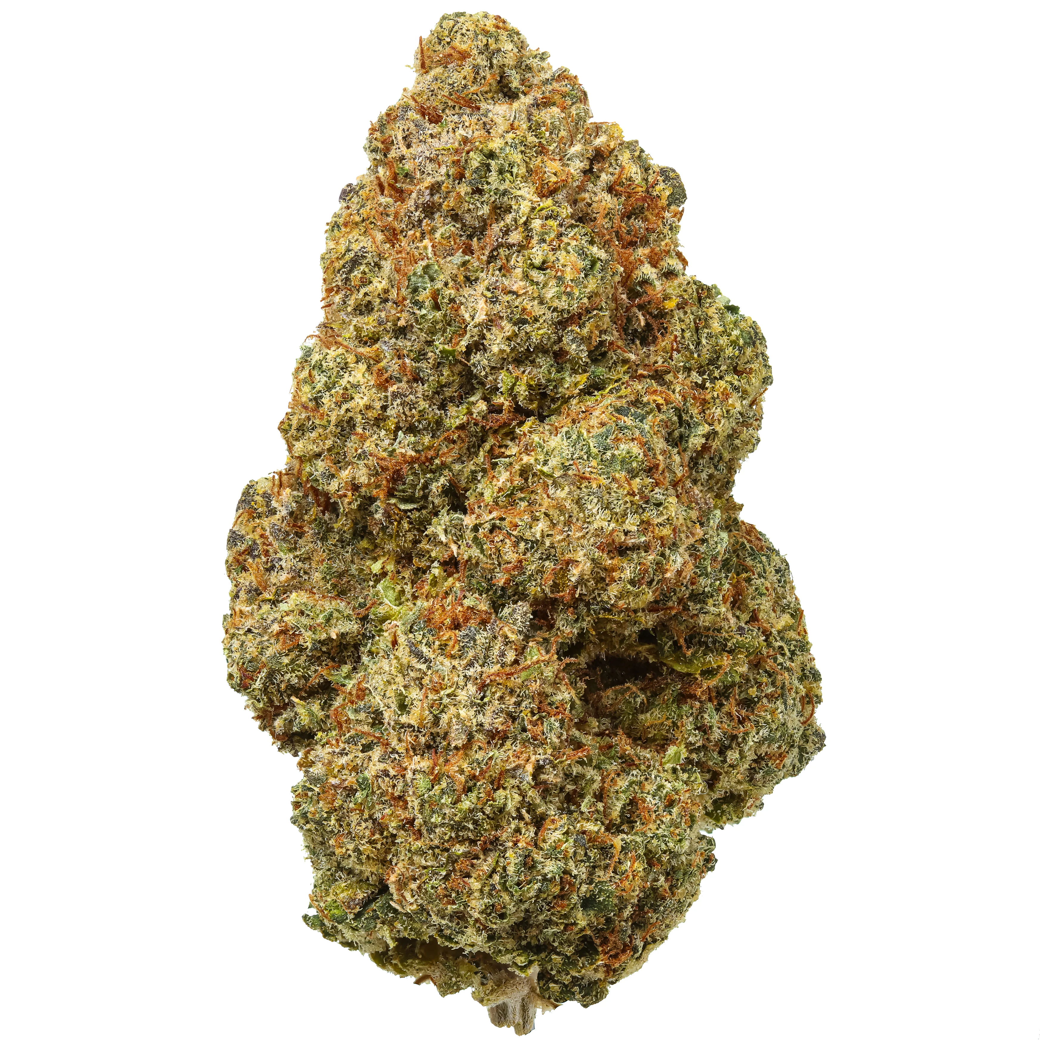 Bermuda Triangle THCa Flower - Image 3