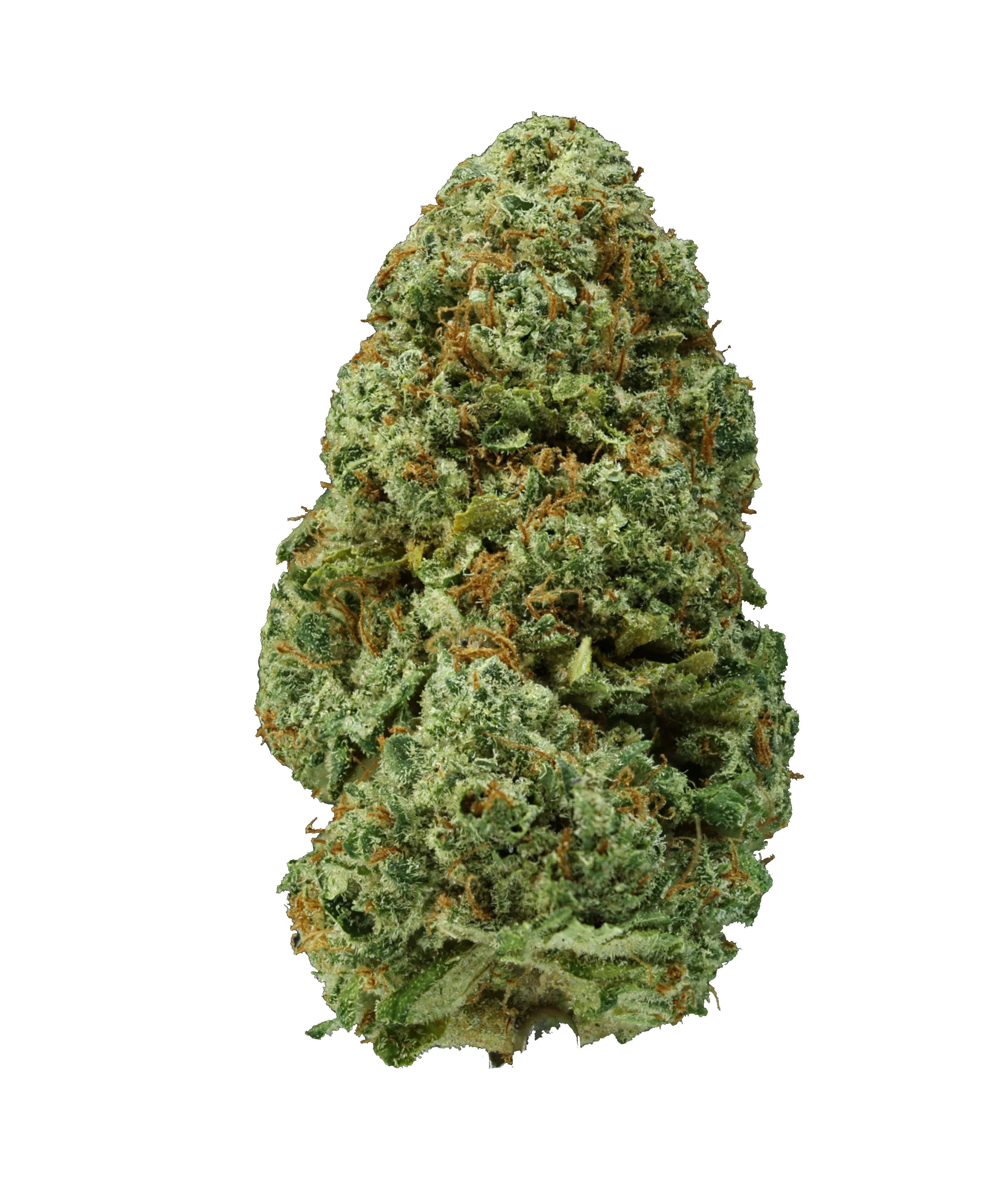 Bermuda Triangle THCa Flower - Image 4