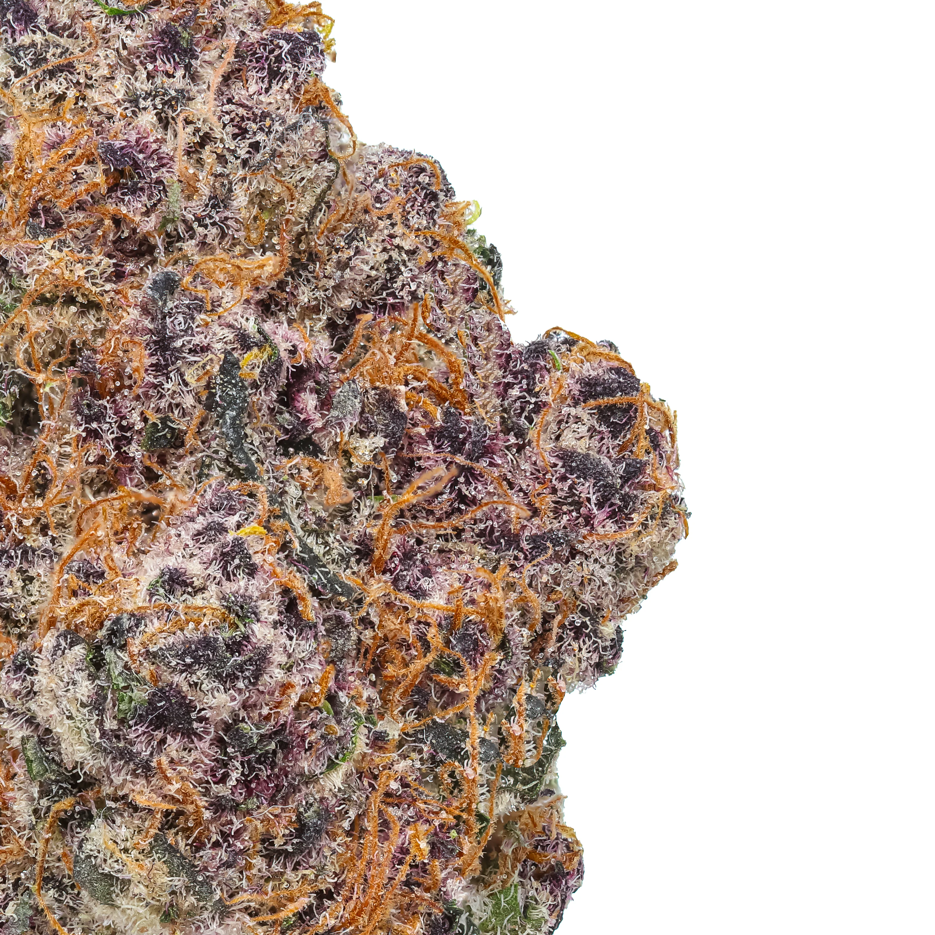 Blockberry THCa Flower - Image 2