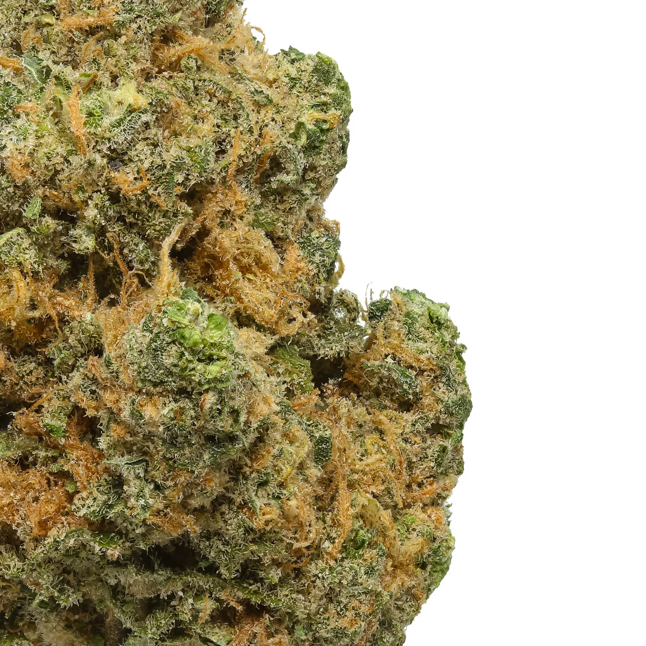 Blue Dream THCa Flower - Image 2