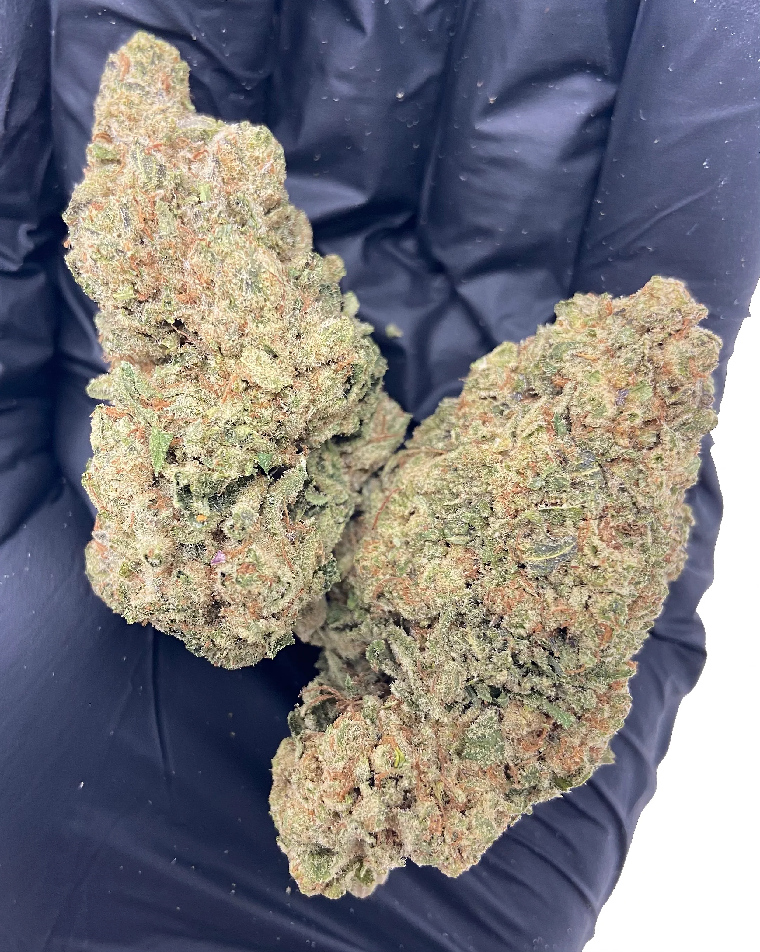 Bubba Kush CBD Flower - Image 3