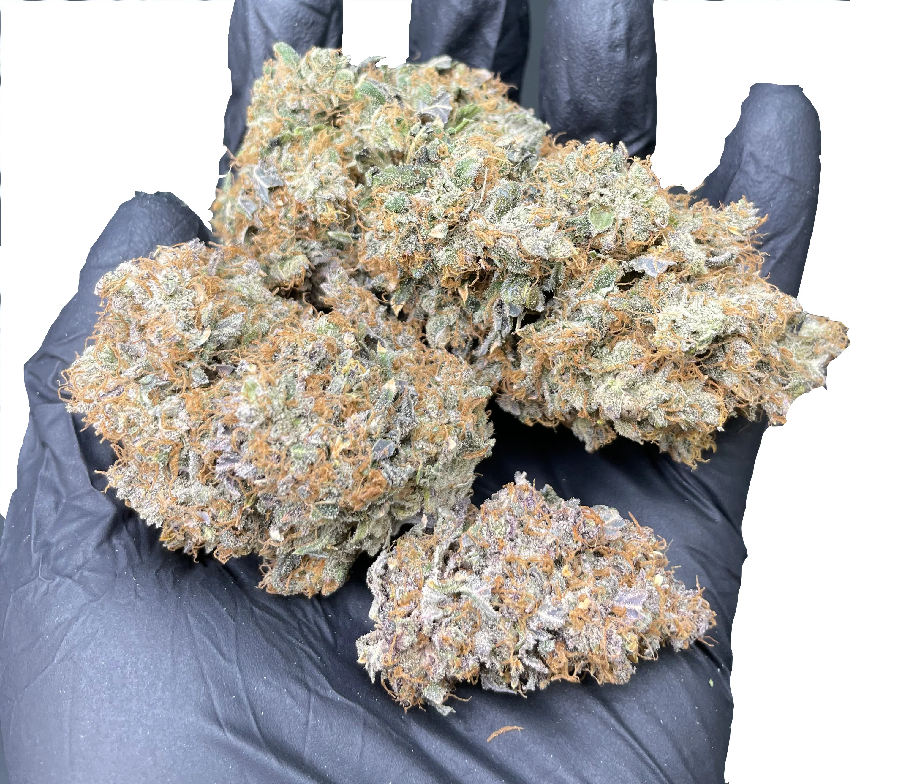 Cakeberry Brulee (Regular & THCA Infused) - Image 3