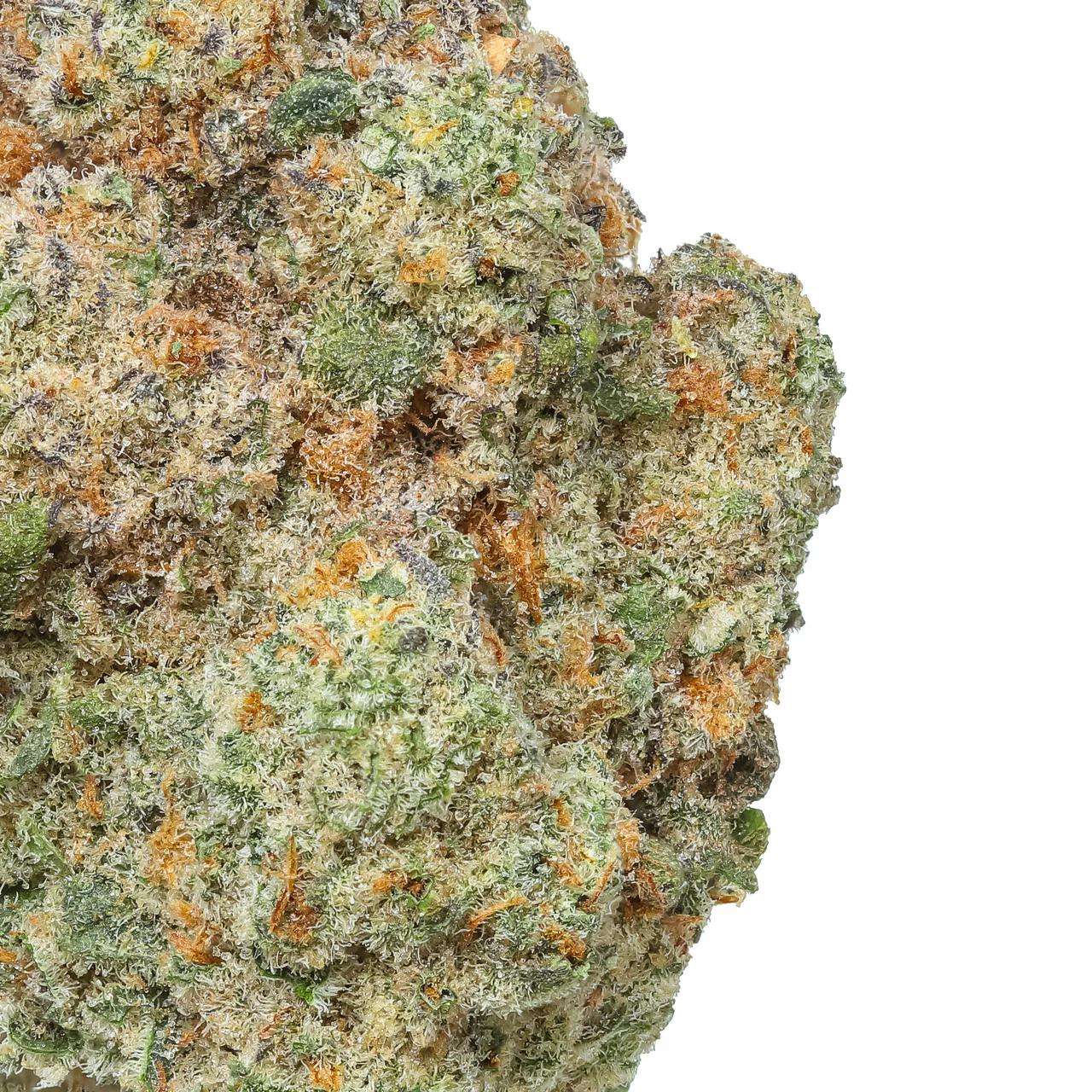 Cap Junky THCa Flower - Image 2