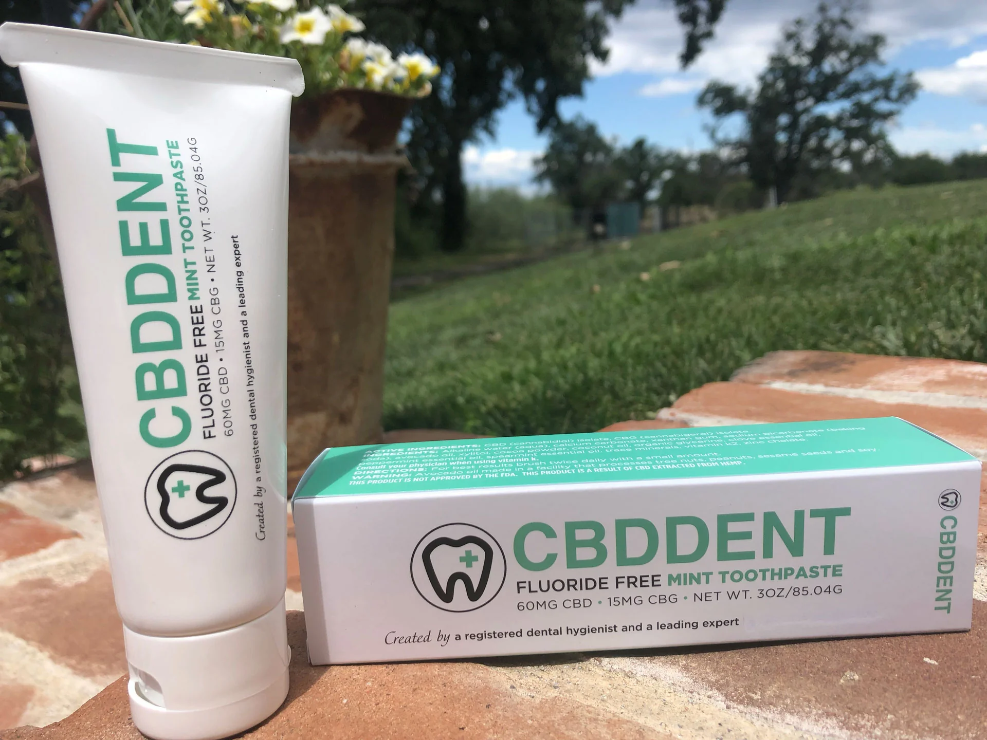 CBD Toothpaste - Image 3