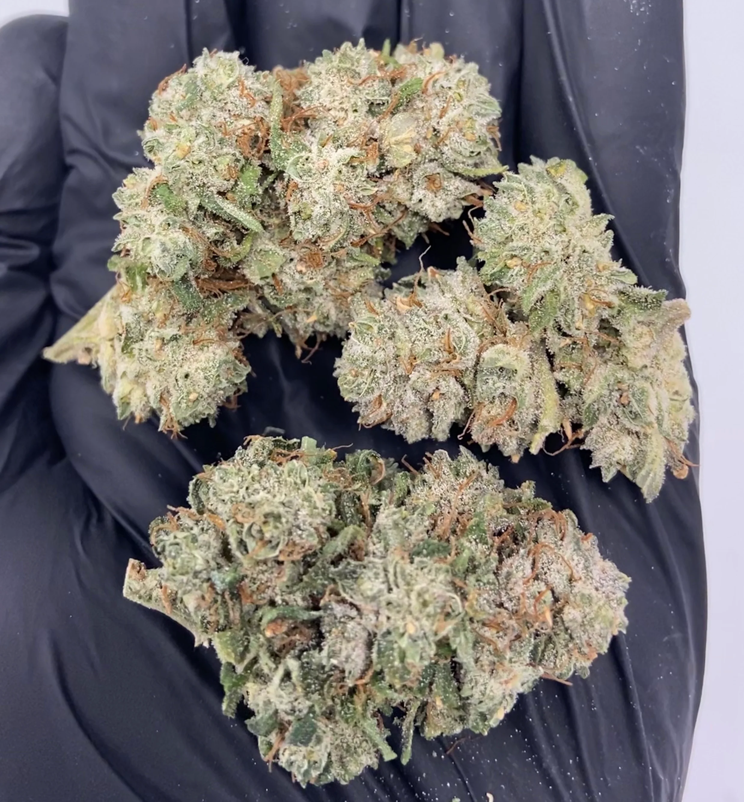 CBG Bliss - Image 2