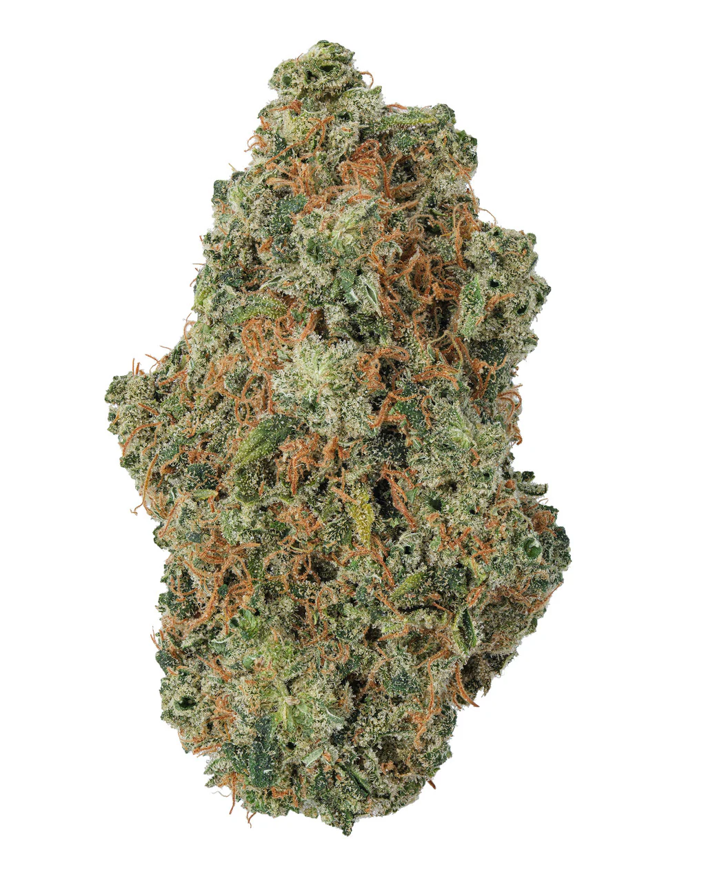 Colombian Gold THCa Flower