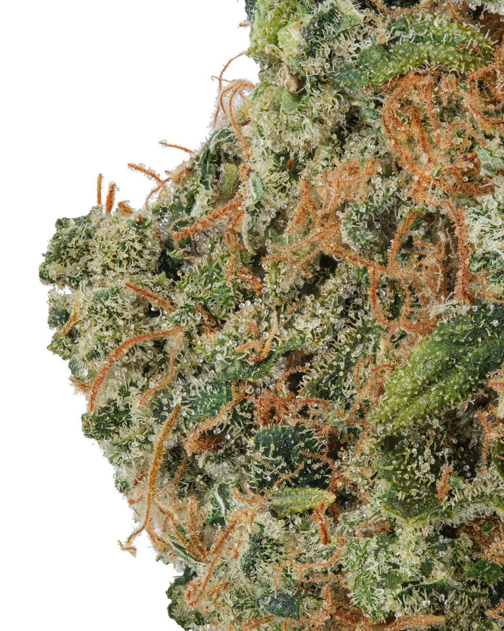 Colombian Gold THCa Flower - Image 2