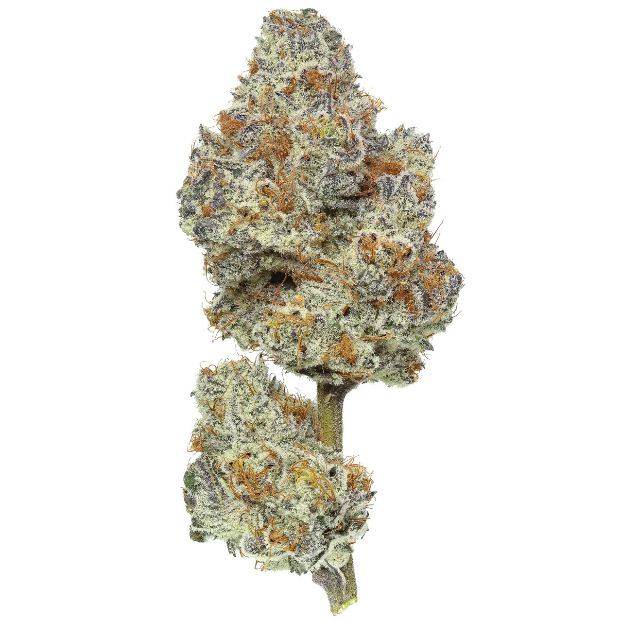 Dante's Inferno THCa Flower
