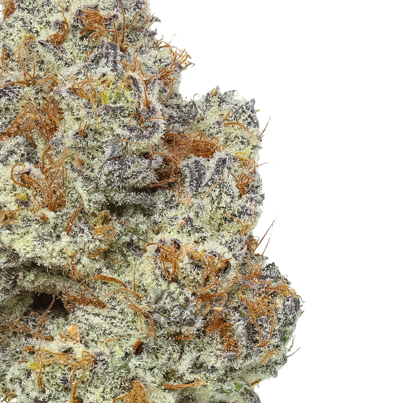 Dante's Inferno THCa Flower - Image 2