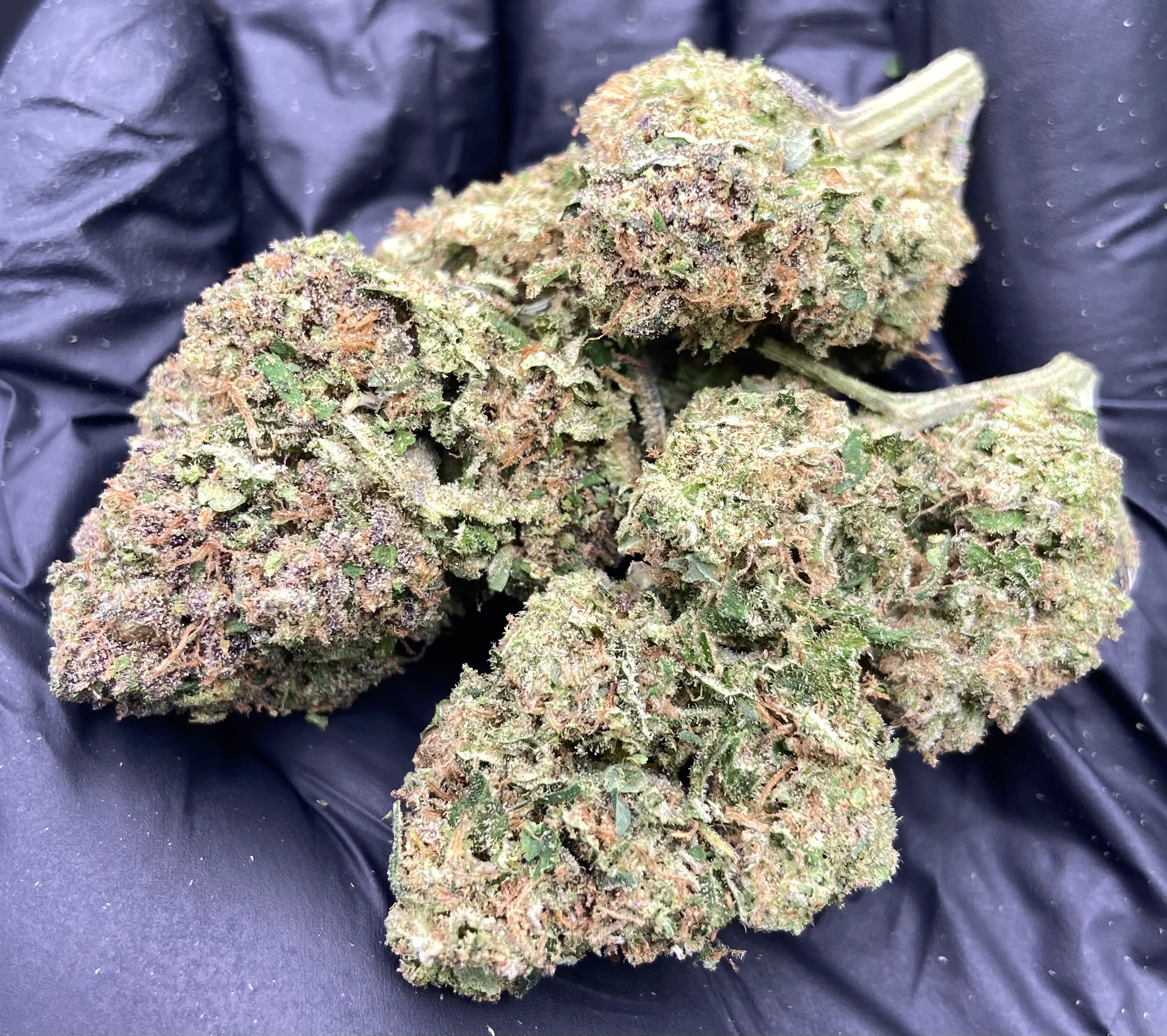 Diesel Fruit