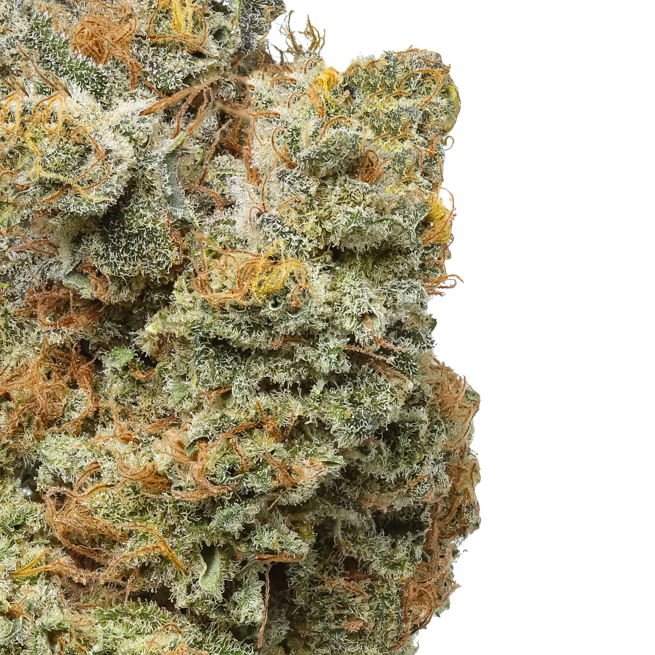 Don Limon THCa Flower - Image 2