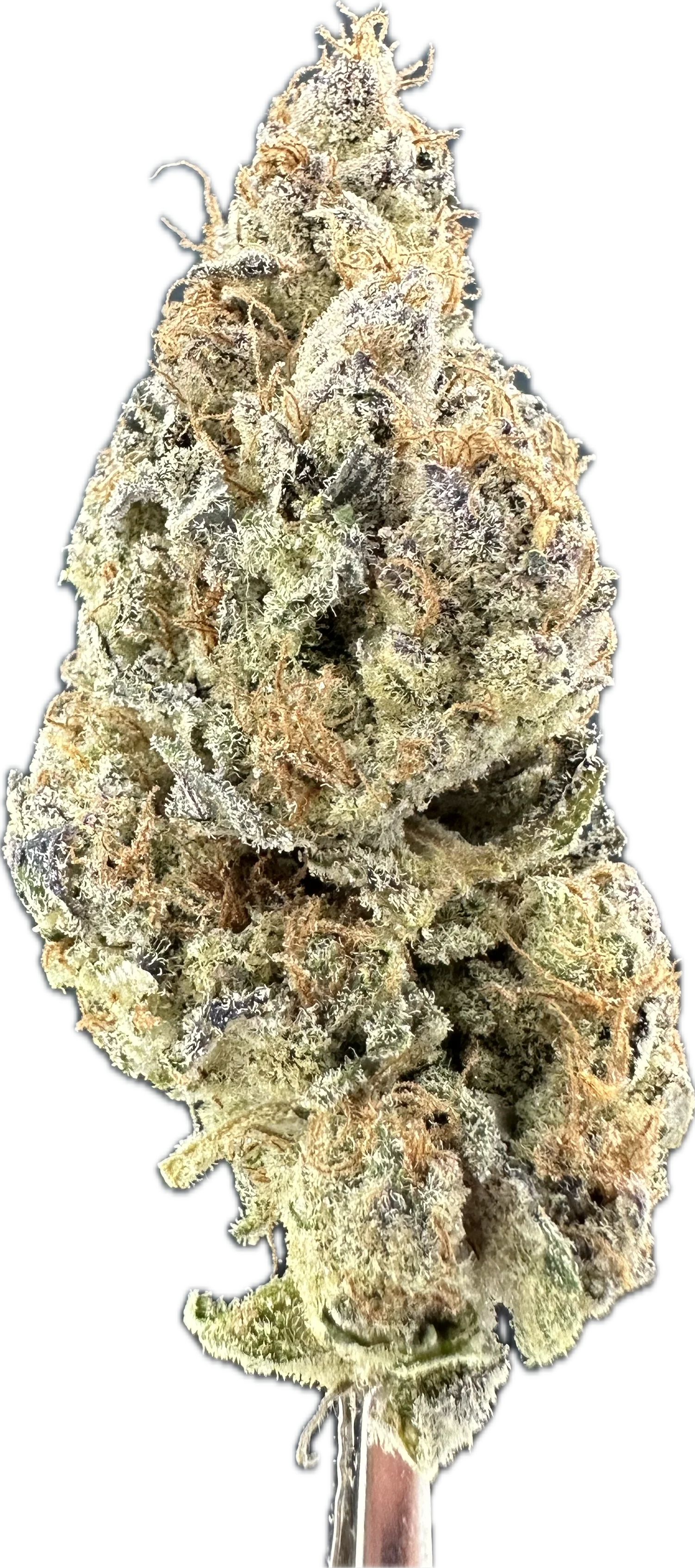 Donutz THCa Flower - Image 3