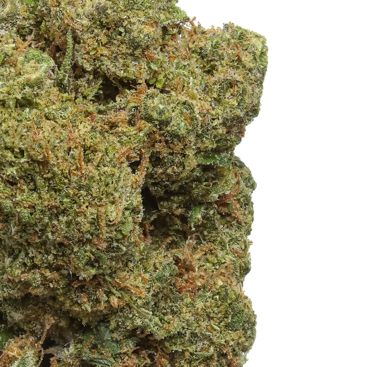 Durban Poison THCa Flower - Image 2