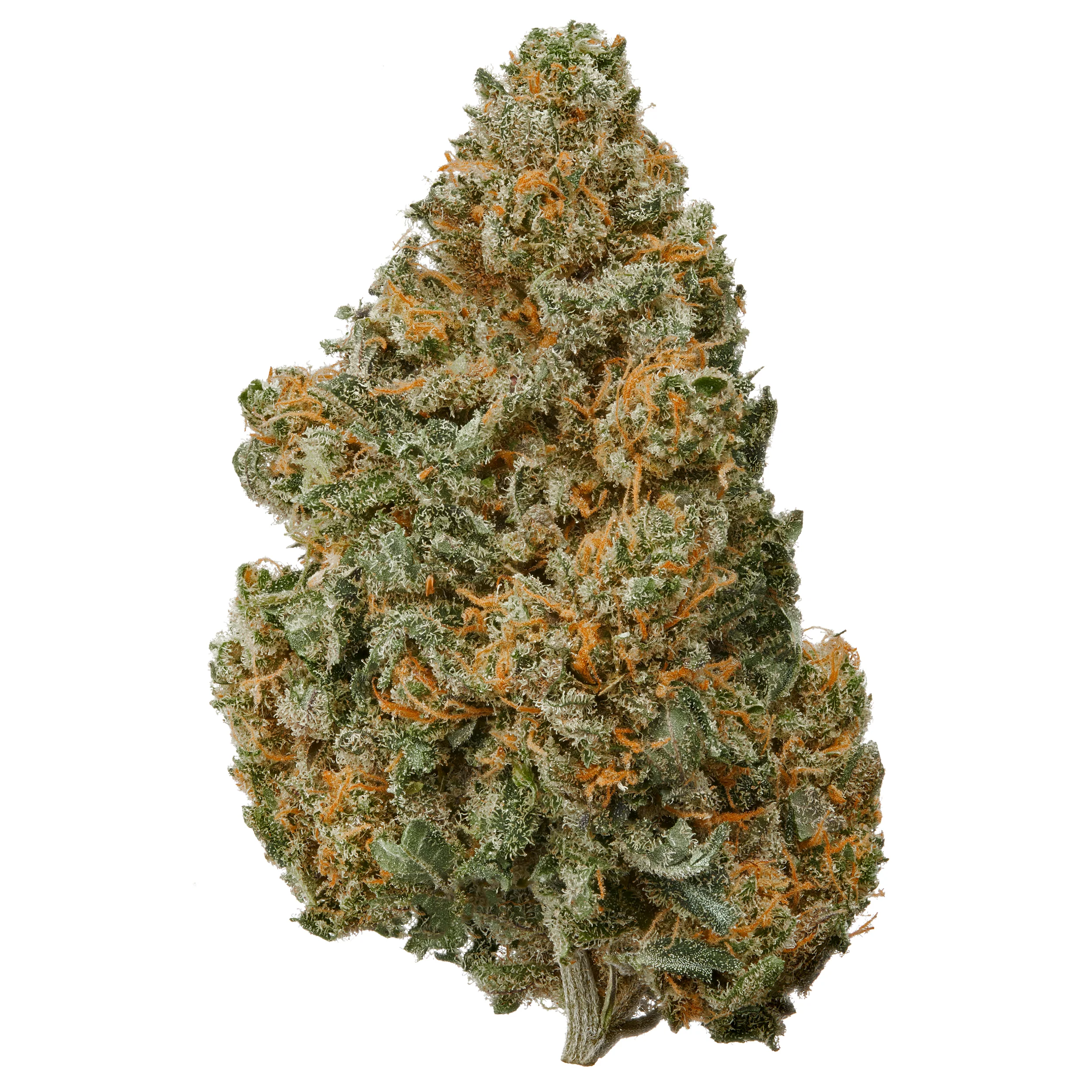 Indoor Electric Buffalo CBD Flower