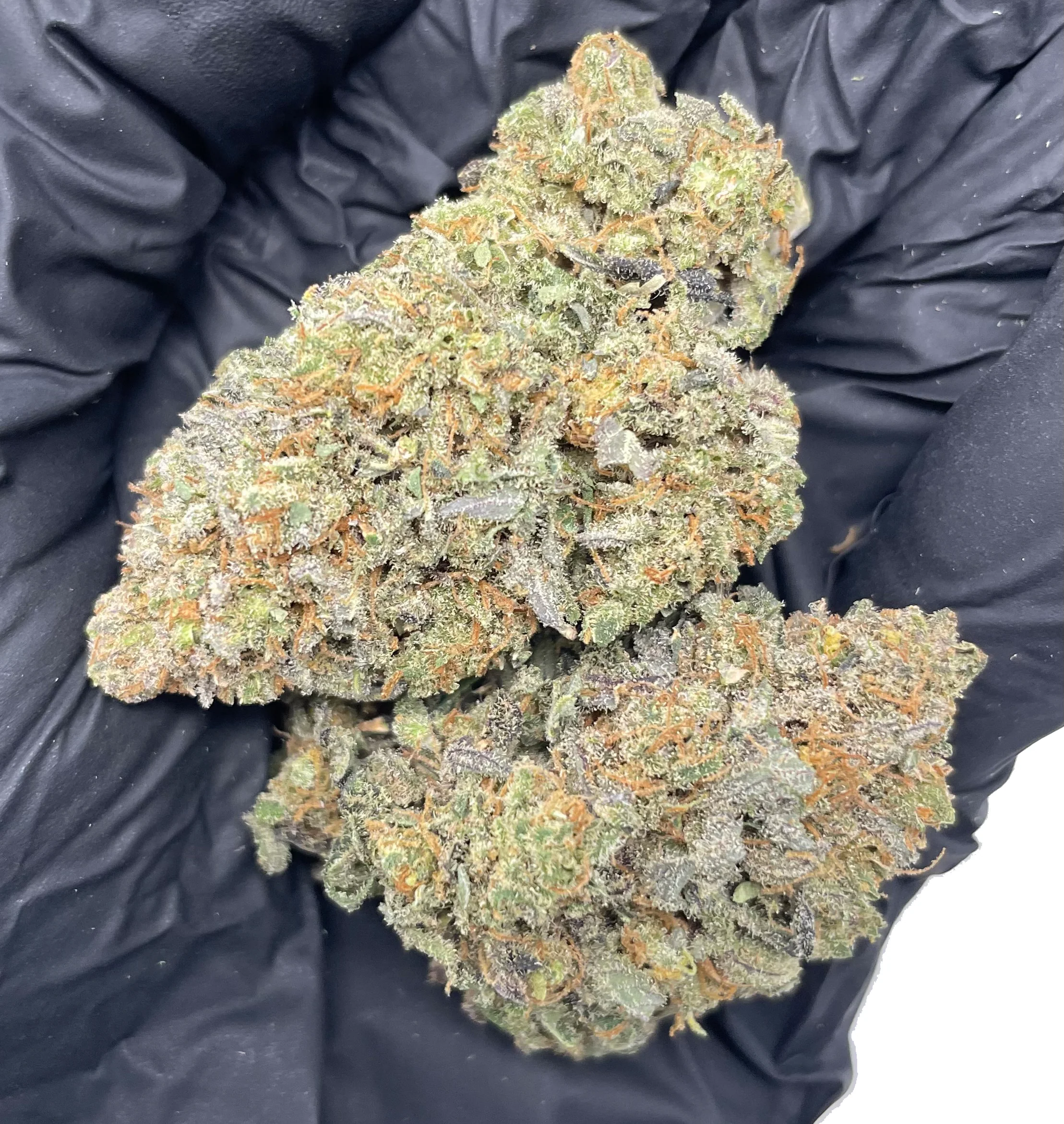 Indoor Electric Buffalo CBD Flower - Image 2