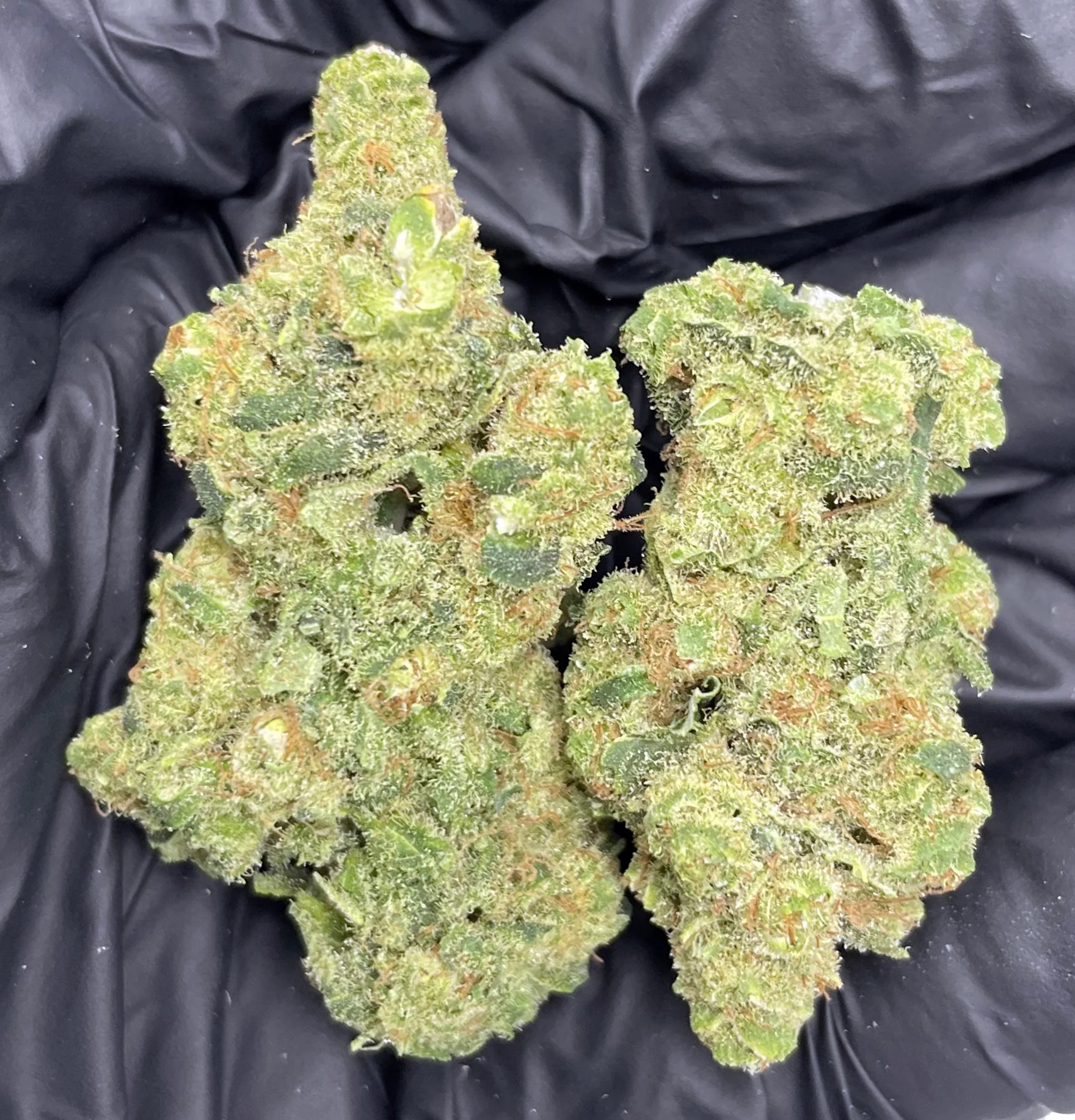 Frosted Lime CBD Flower - Image 3