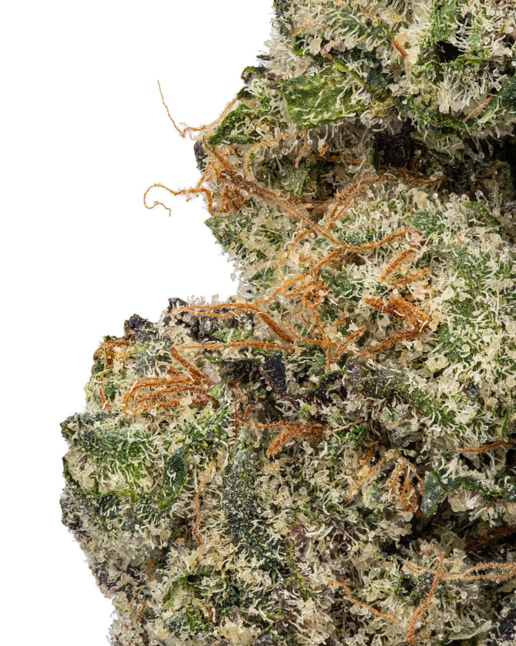 Gary Payton THCa Flower - Image 2