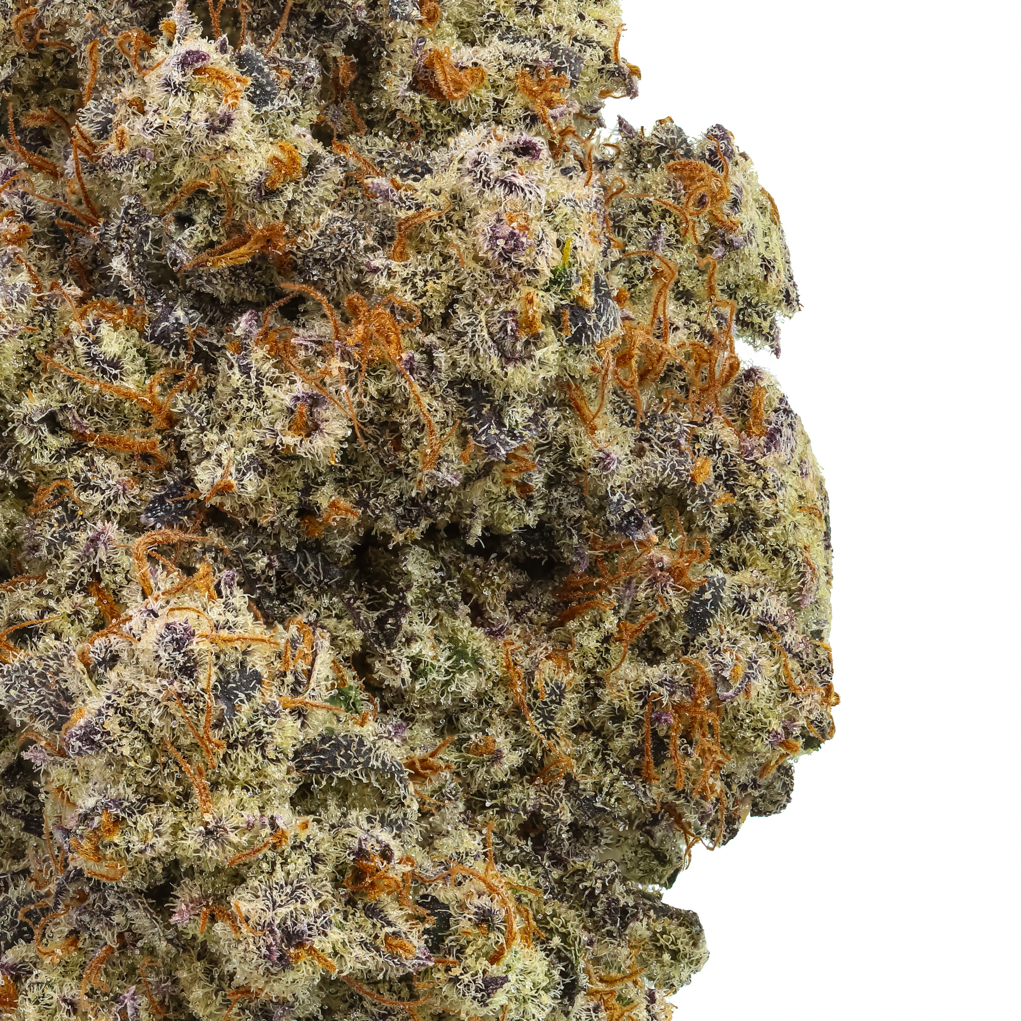 Gary’s Inferno THCa Flower - Image 2