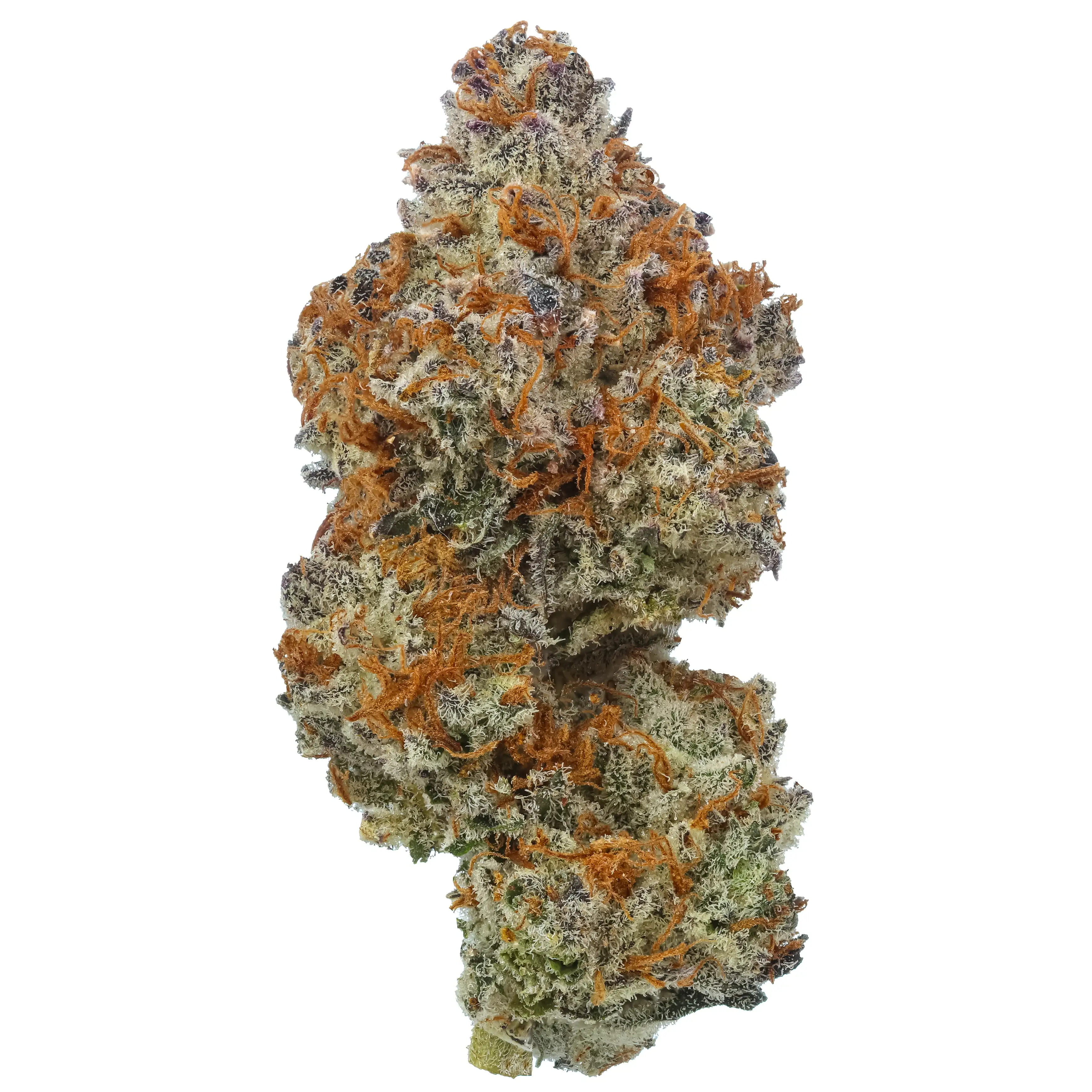Gelato Bremix THCa Flower (Triploid)