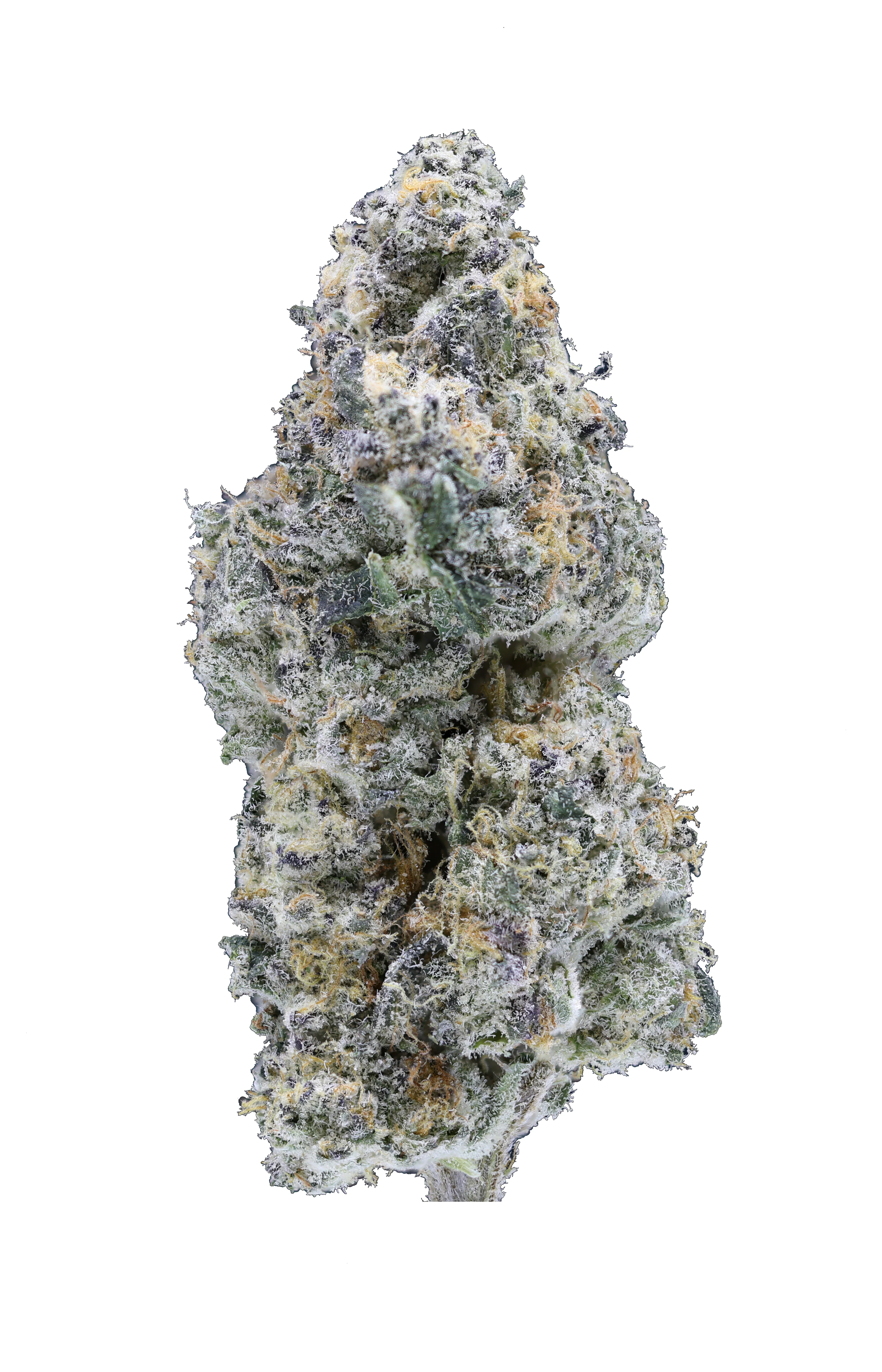 Georgia Pie THCa Flower - Image 2