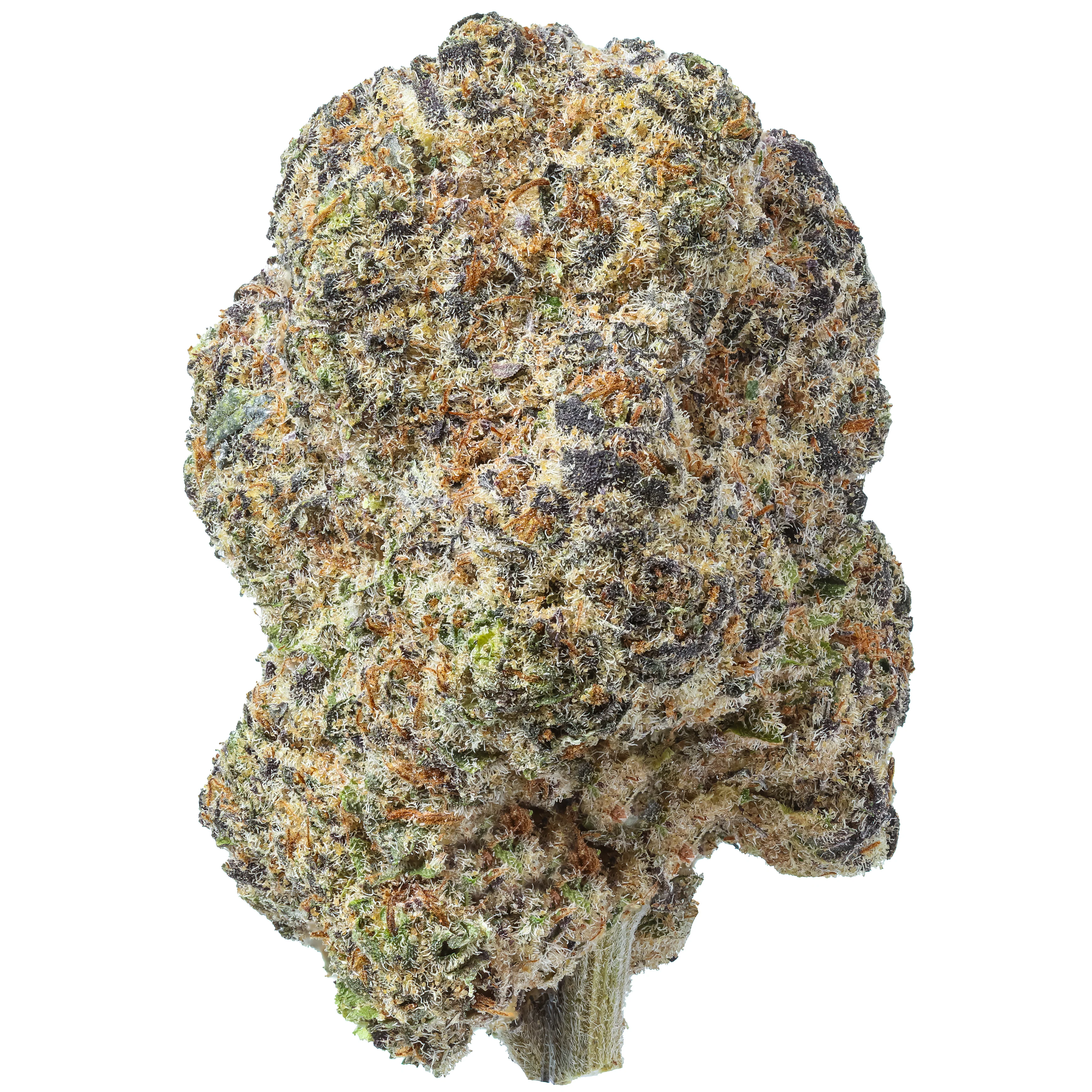 GMO Mints THCa Flower