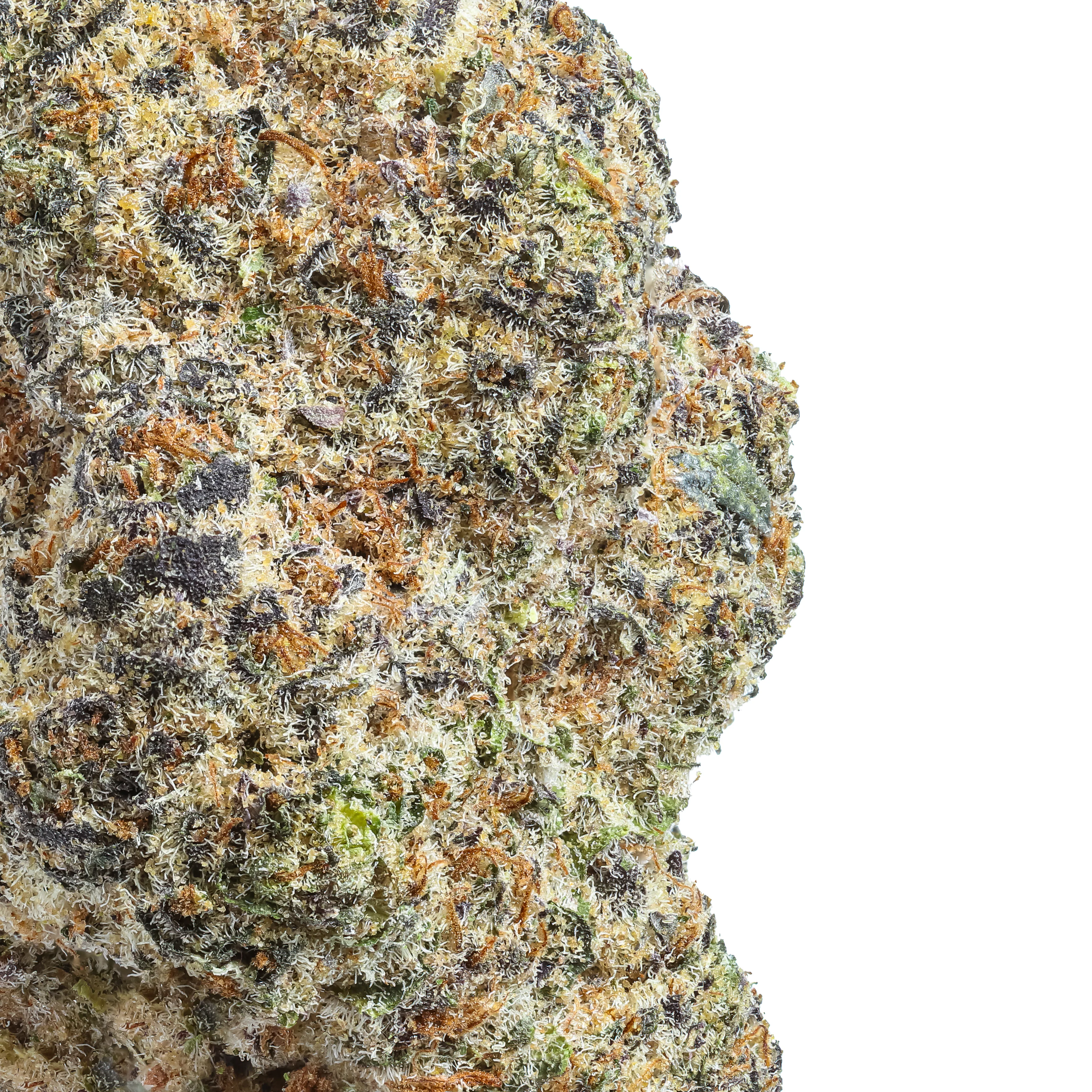 GMO Mints THCa Flower - Image 2