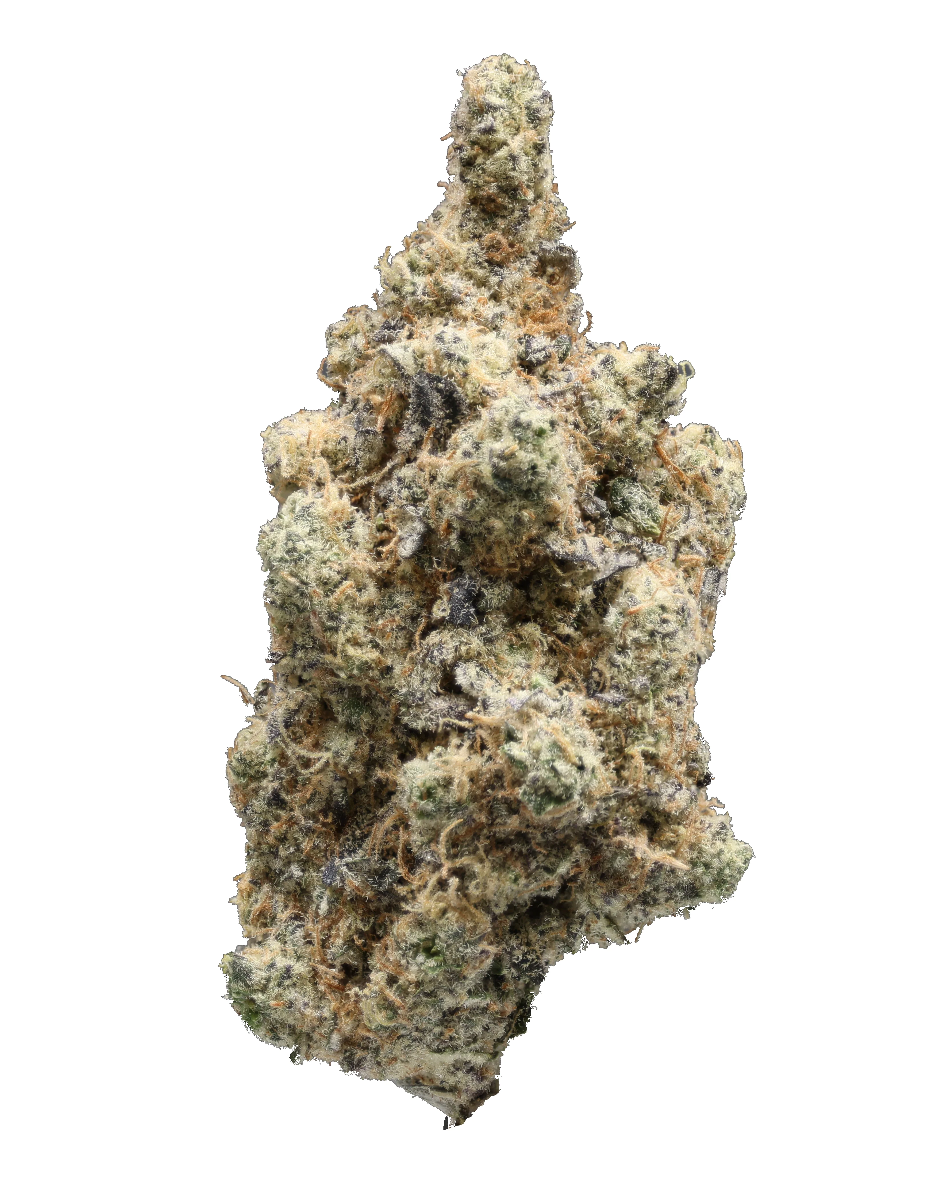 GMO Mints THCa Flower - Image 3