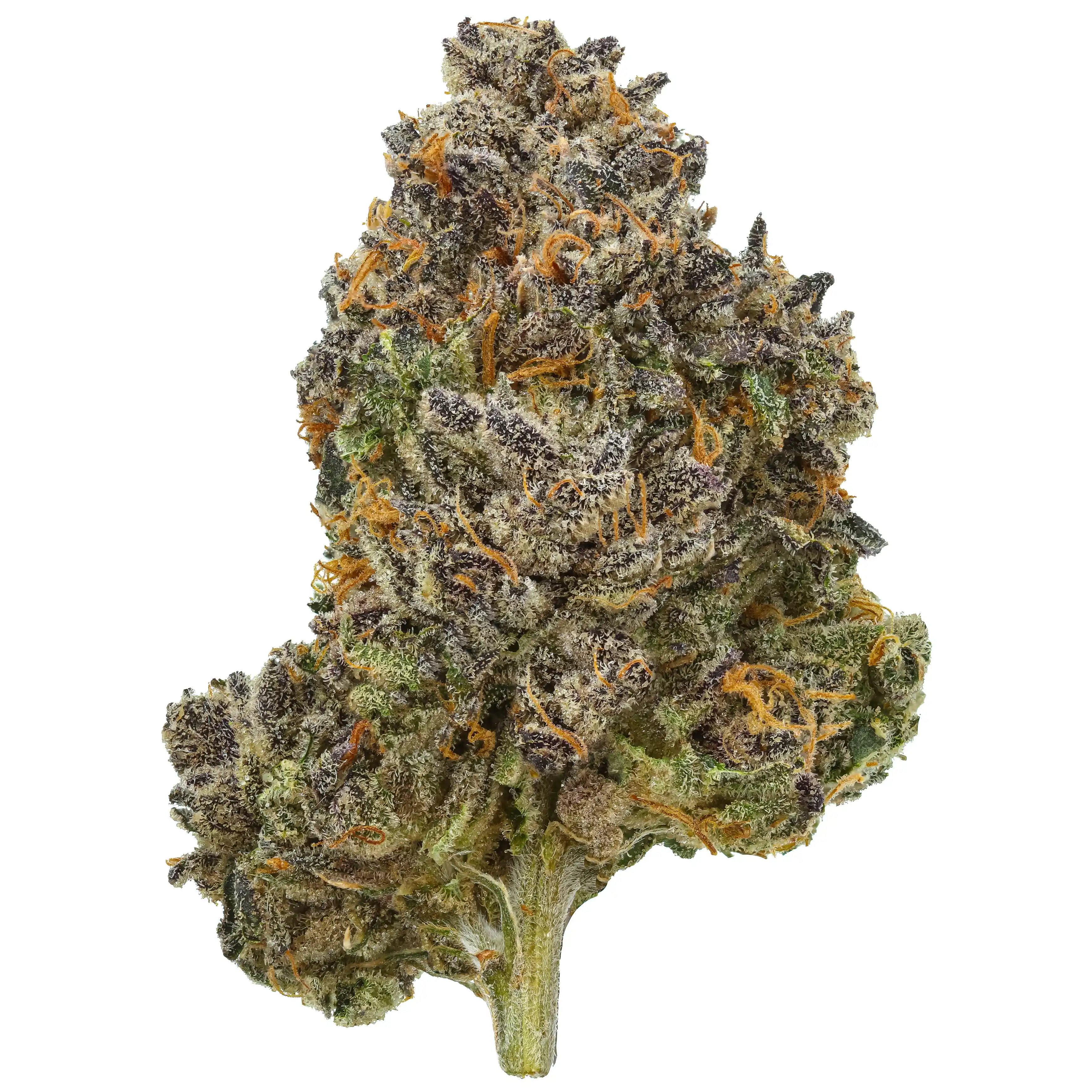 Goofiez THCa Flower
