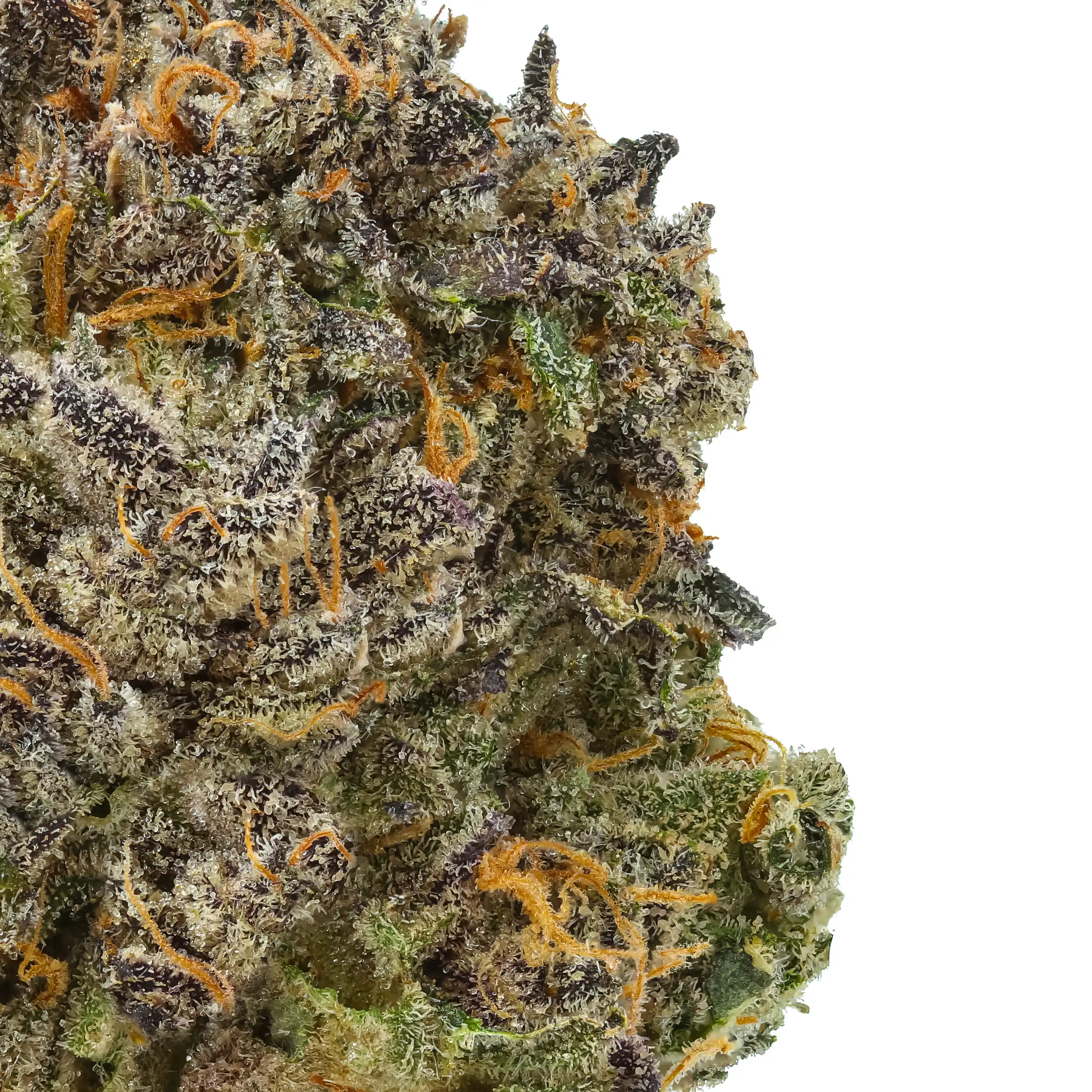 Goofiez THCa Flower - Image 2