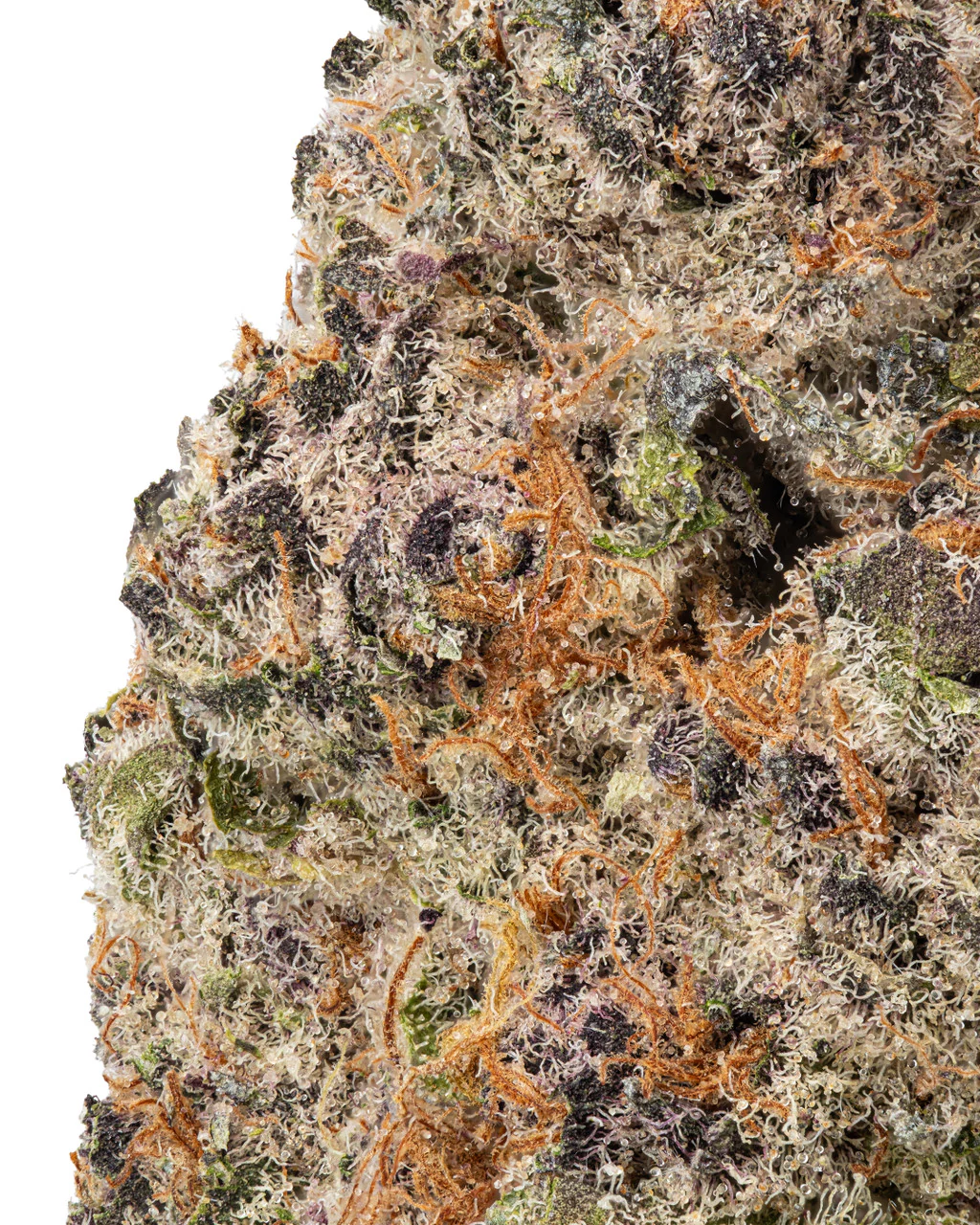 Granddaddy Purple (GDP) THCa Flower - Image 2