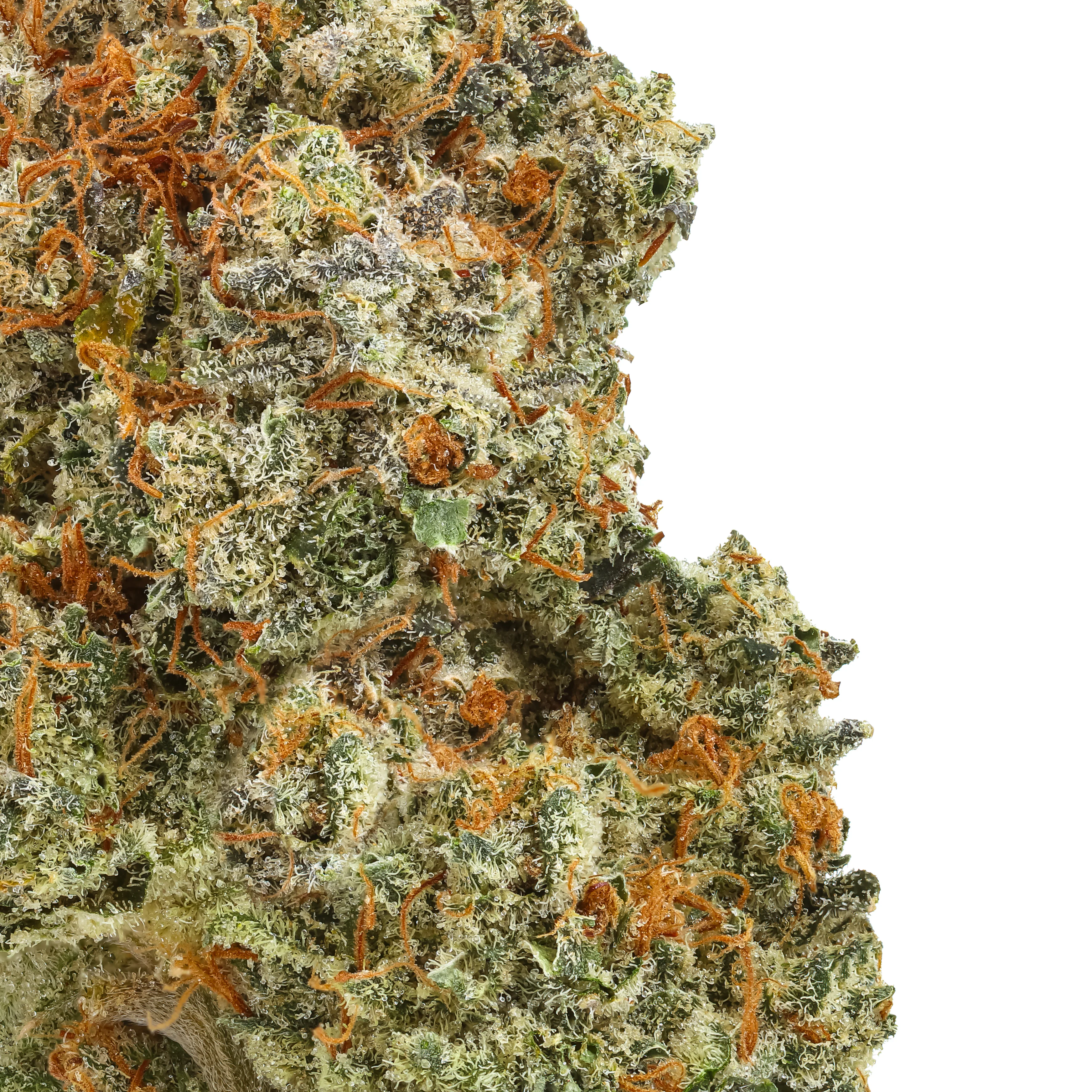 Gravel Pit THCa Flower - Image 2