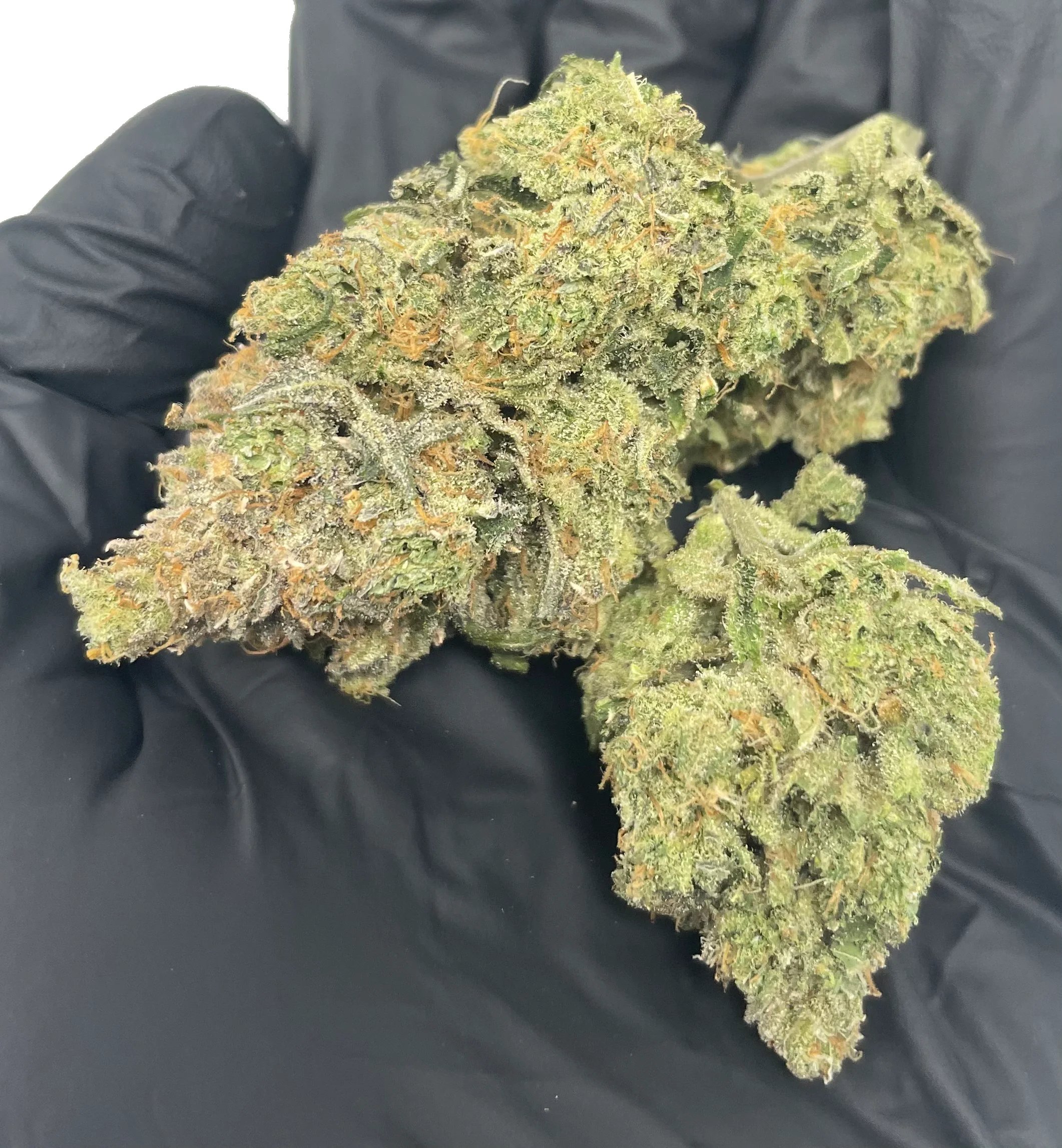 Indoor Banana MAC CBD THCa Flower - Image 4