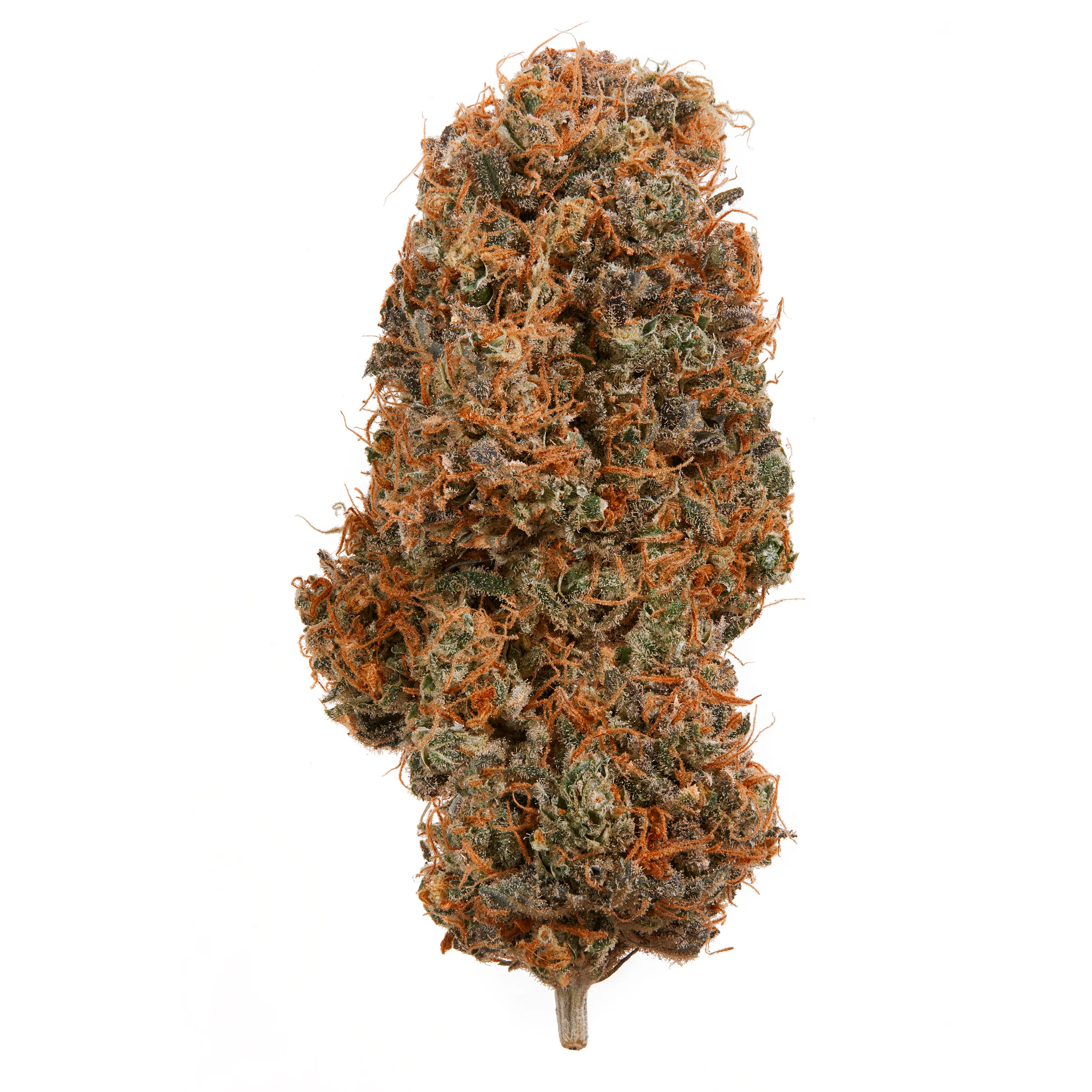 Indoor Blueberry Muffin CBD Flower