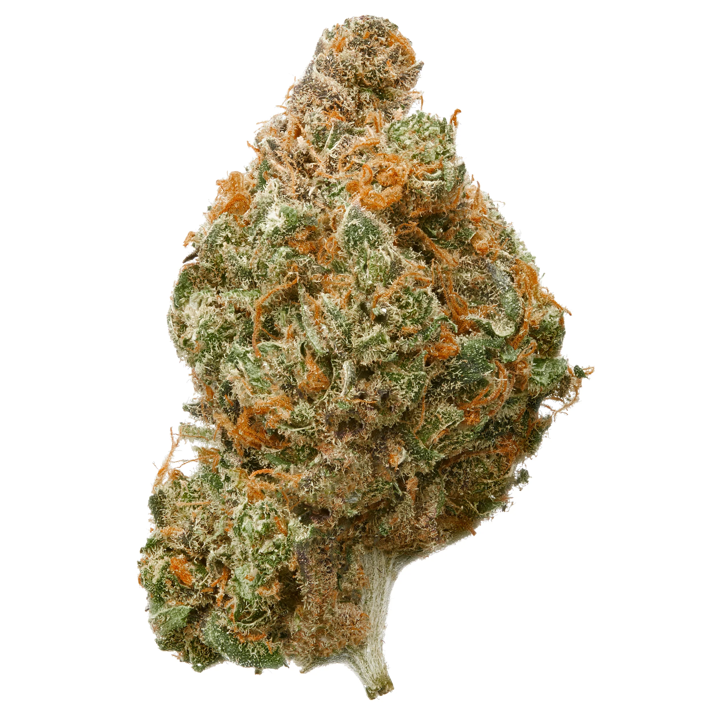 Indoor Blueberry Muffin CBD Flower - Image 2