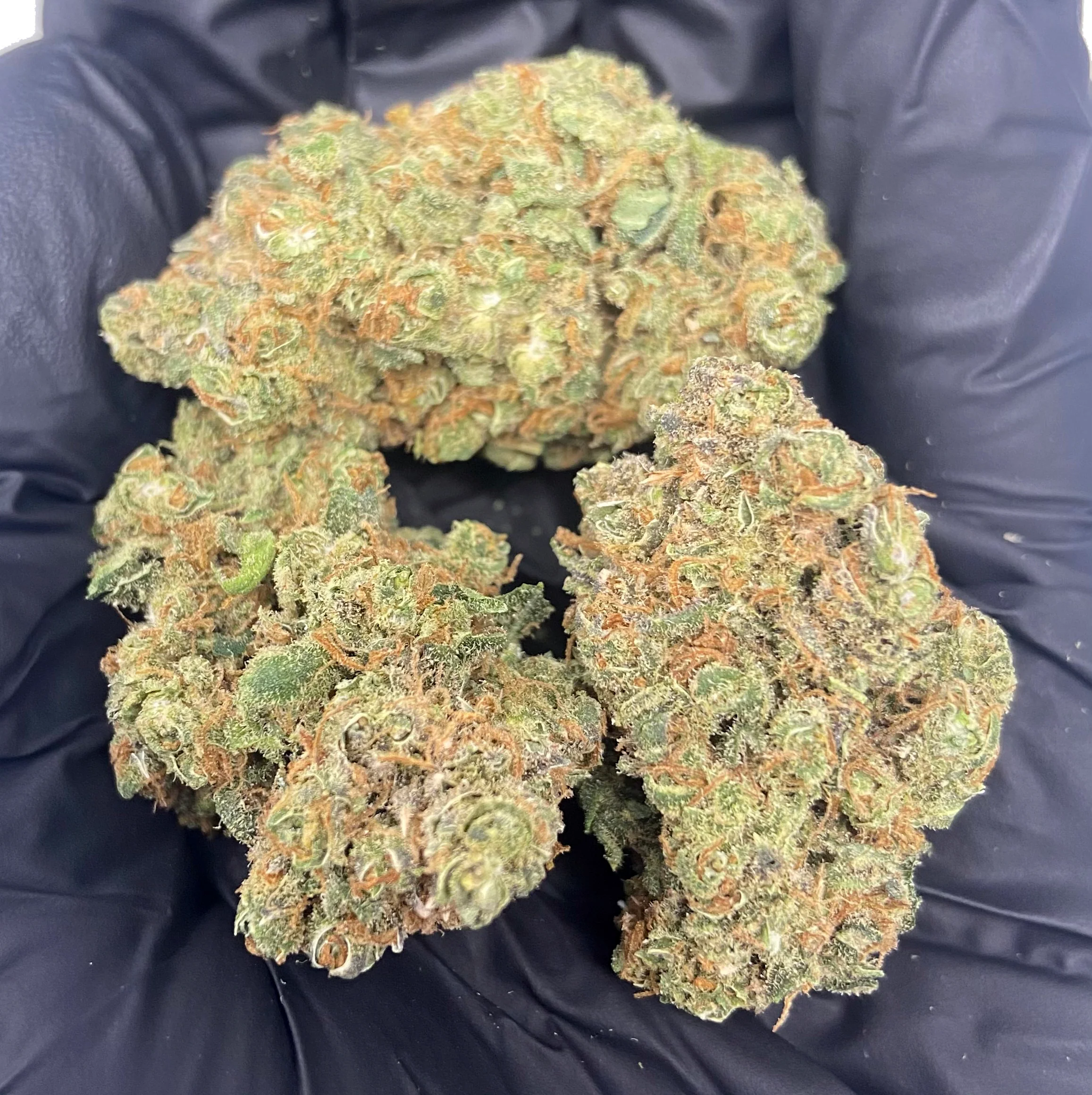 Indoor Blueberry Muffin CBD Flower - Image 3