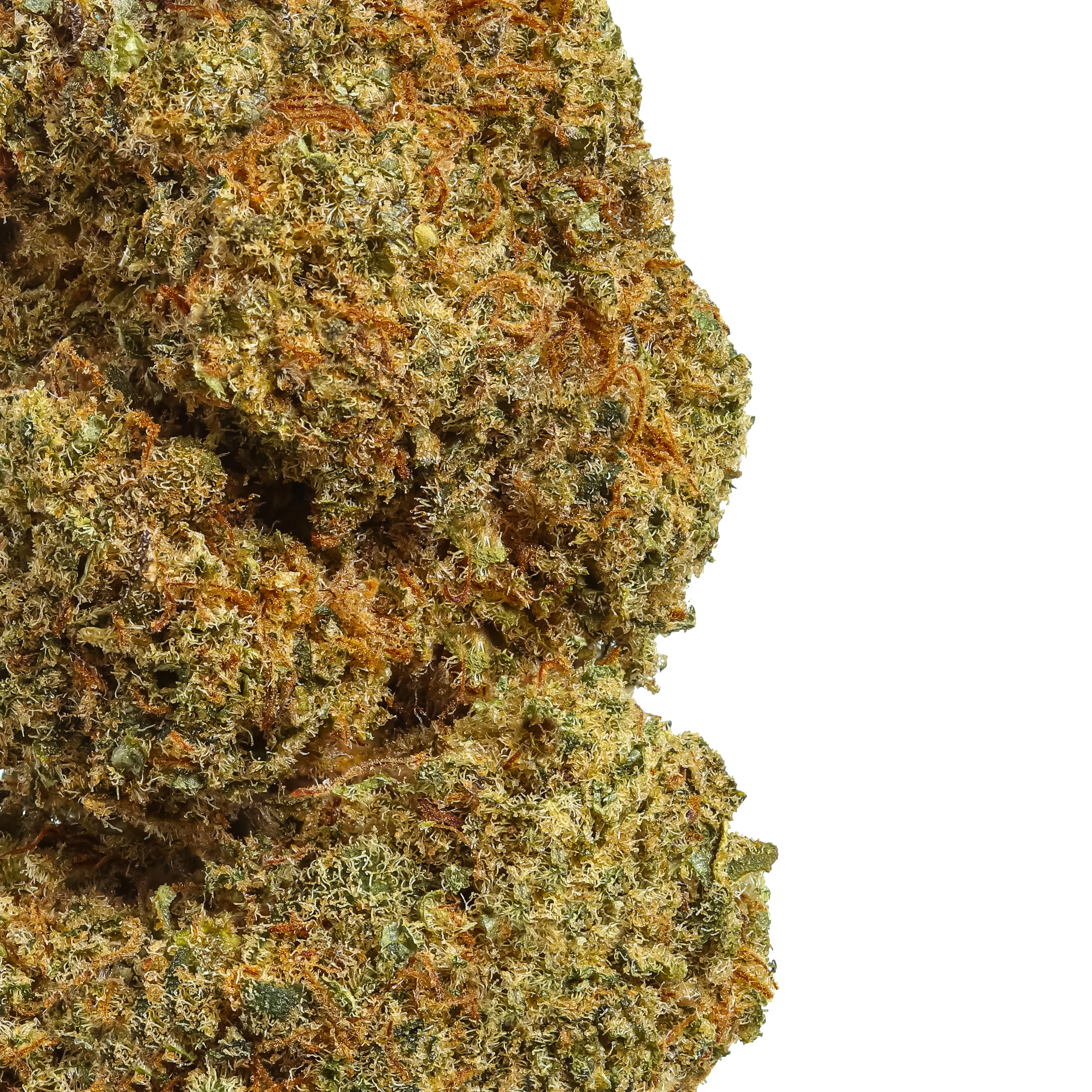Indoor Gorilla Haze CBD Flower - Image 3