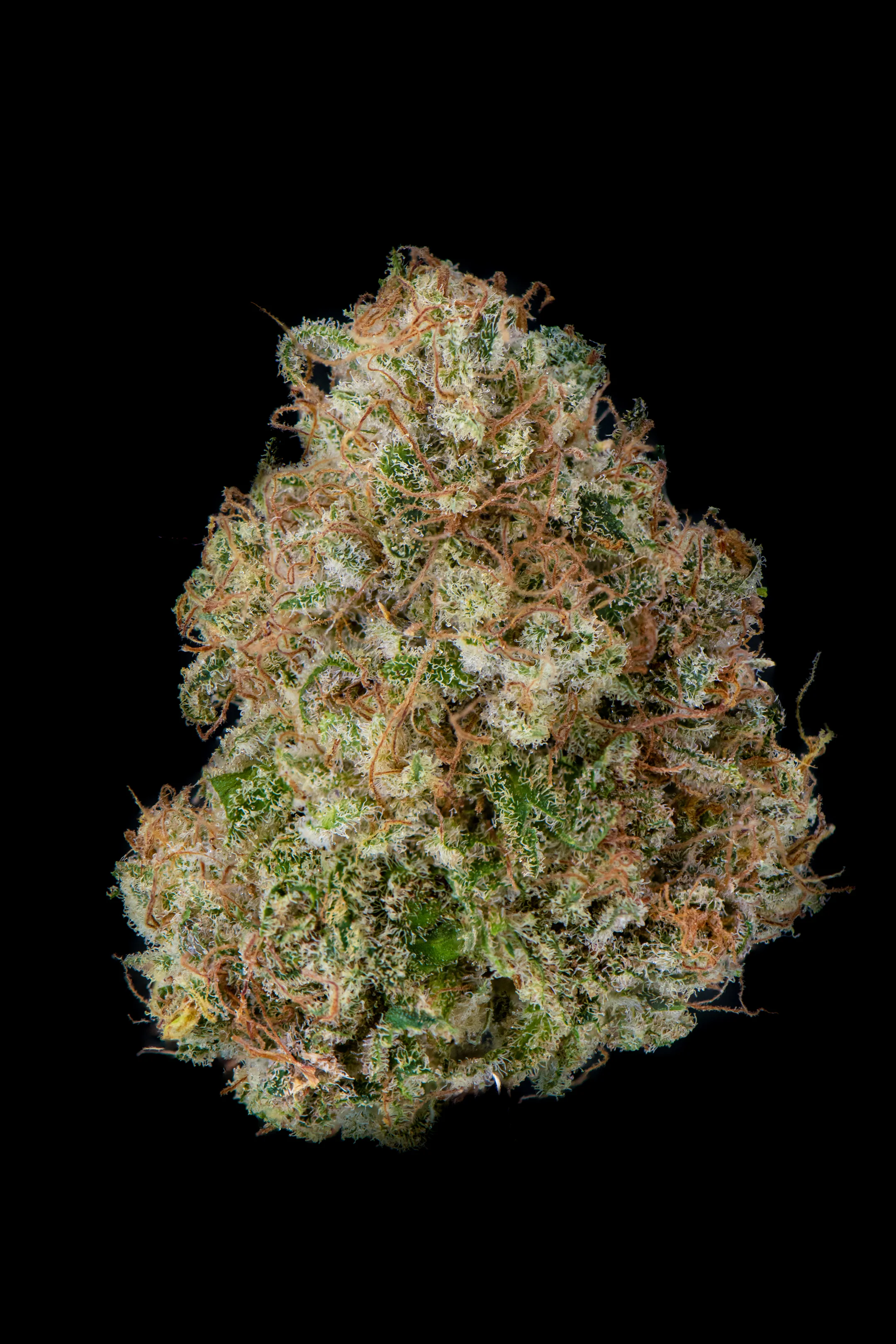 Indoor Gorilla Haze CBD Flower - Image 4