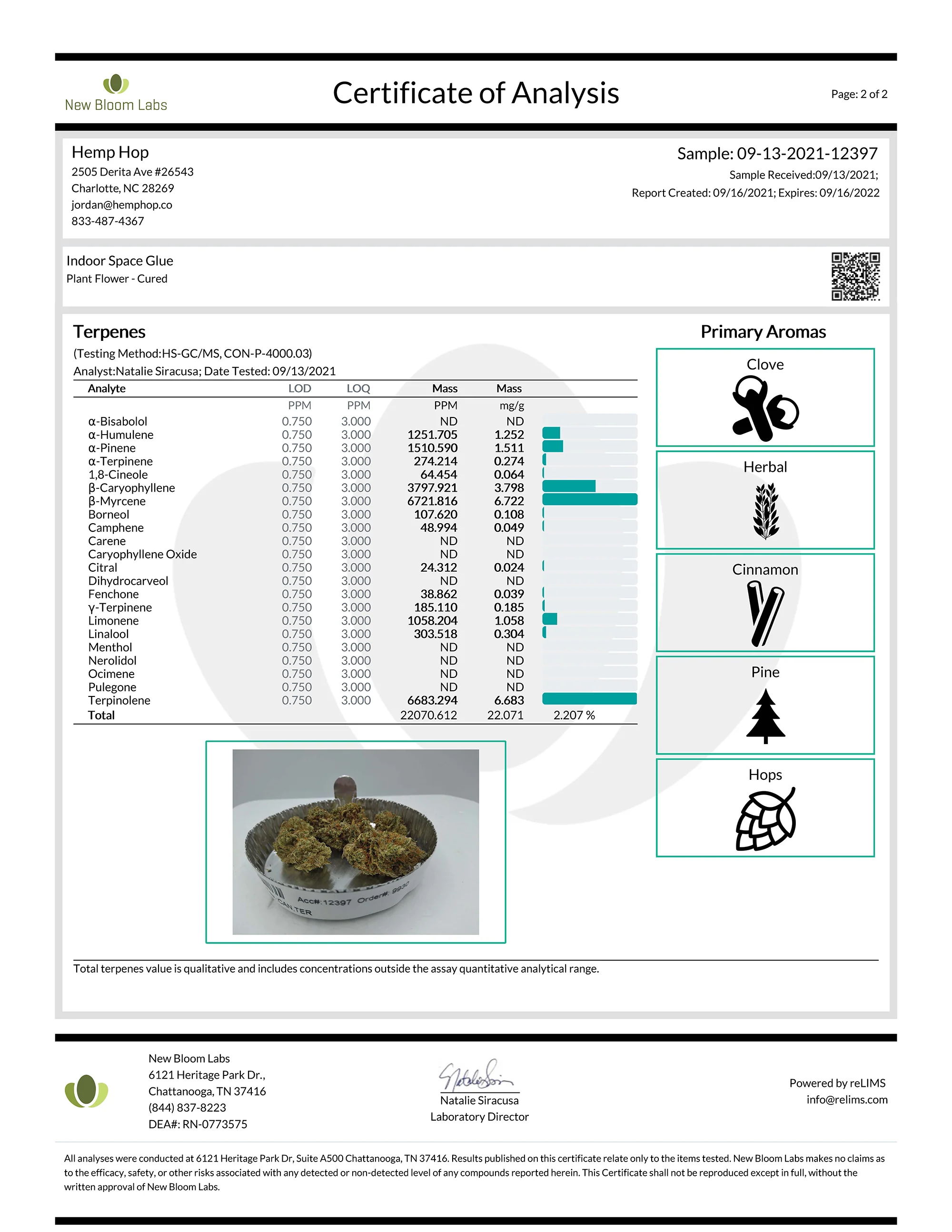 Space Glue CBD Flower - Image 3