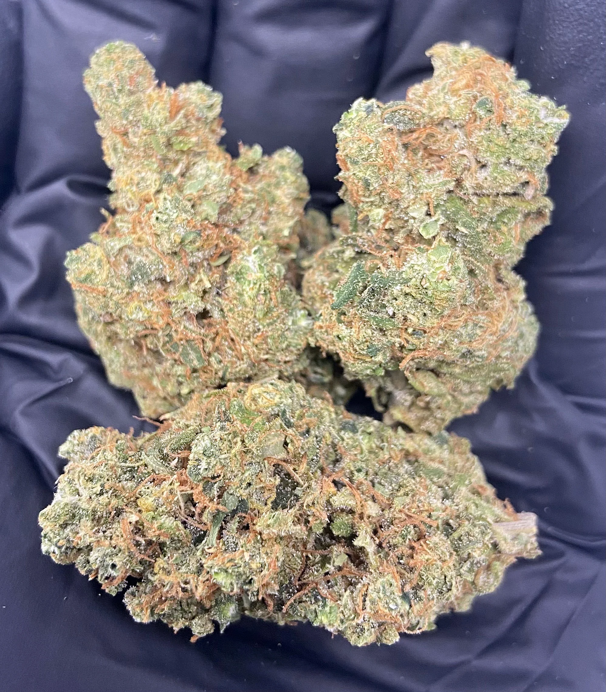 Indoor Super CBD