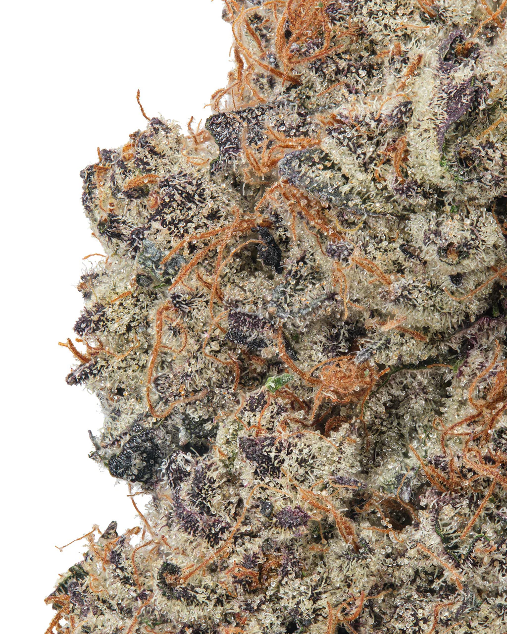 Lemon Cherry Gelato (LCG) THCa Flower - Image 2