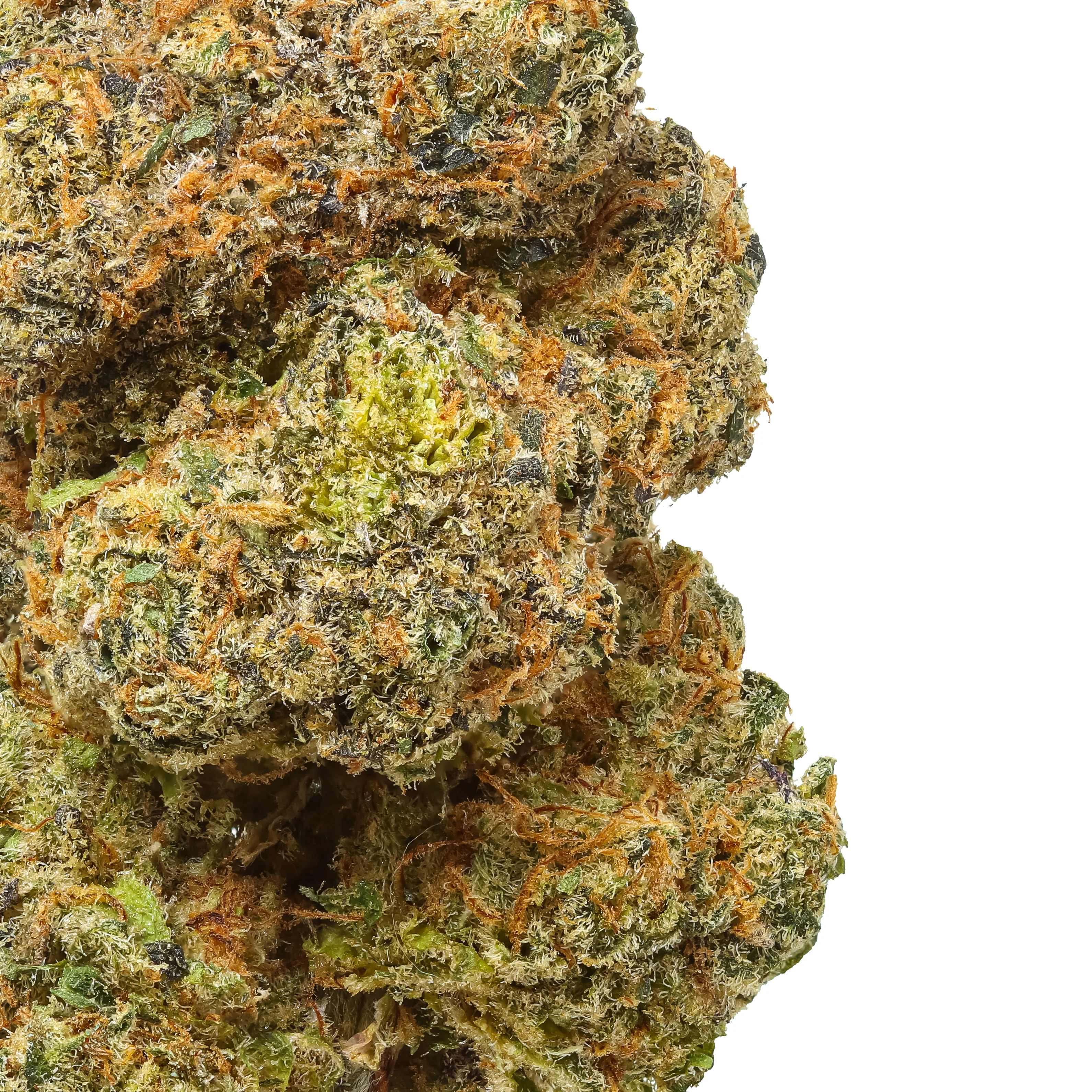 Lime Cookies THCa Flower - Image 3
