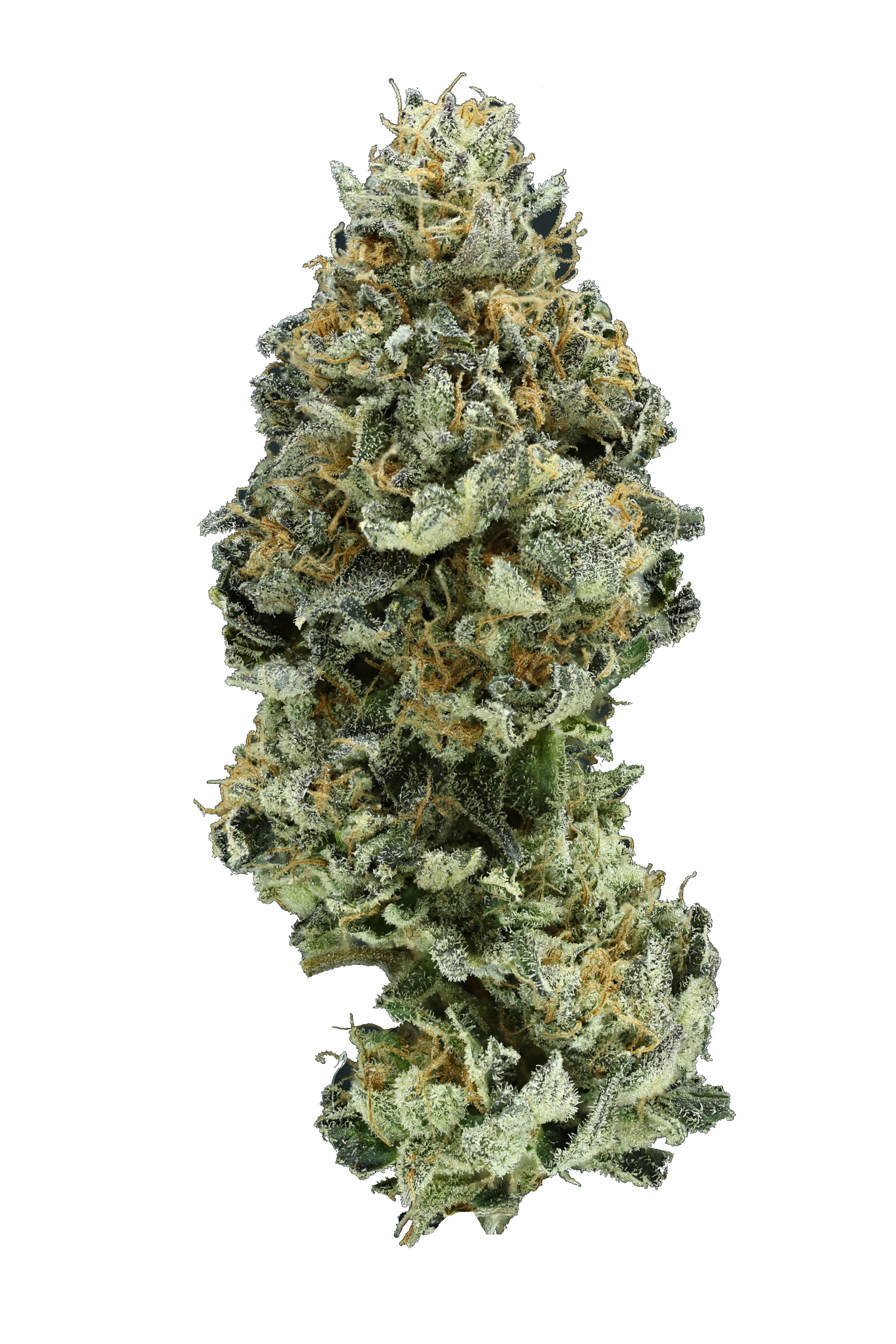Lime Cookies THCa Flower - Image 4