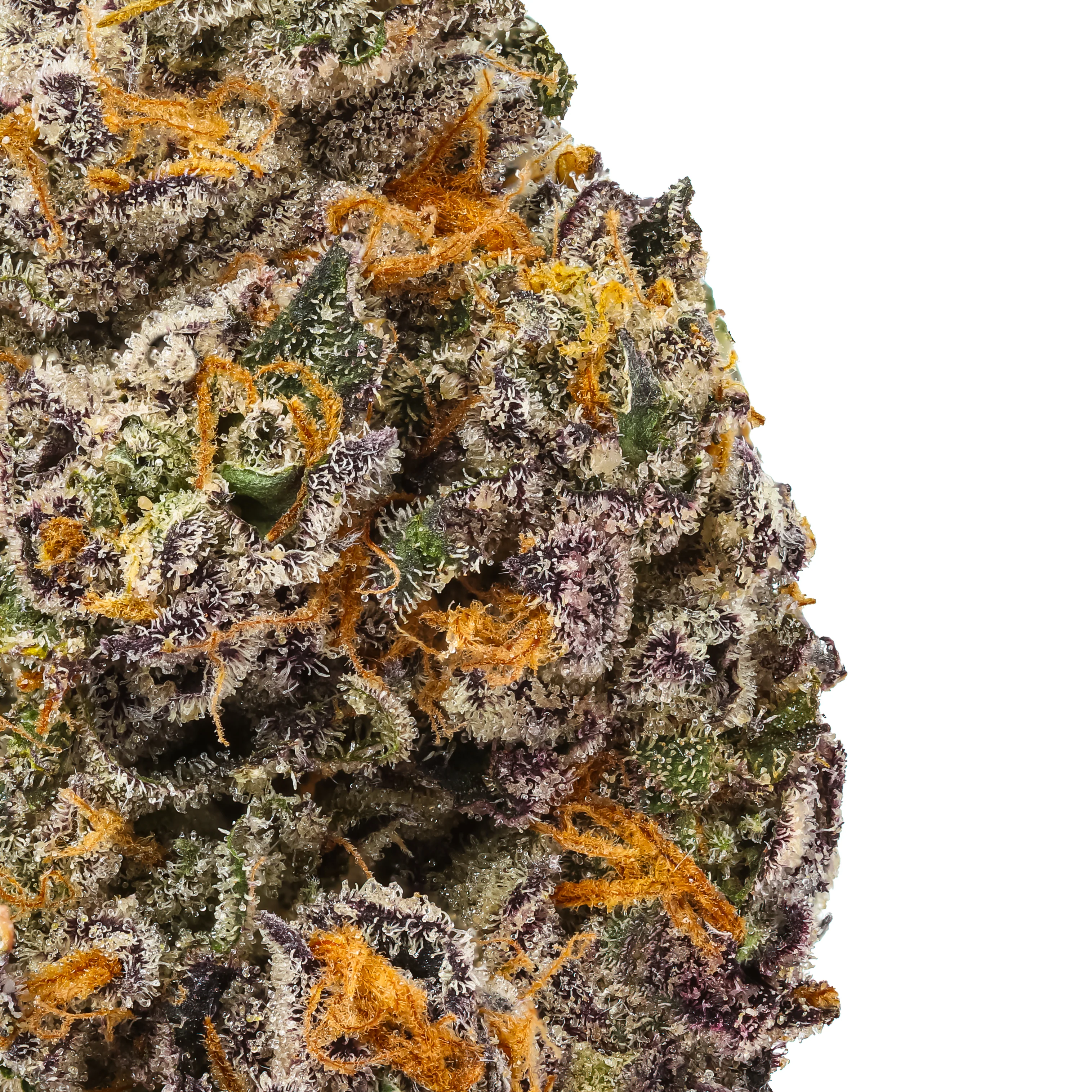 London Jealousy THCa Flower - Image 2