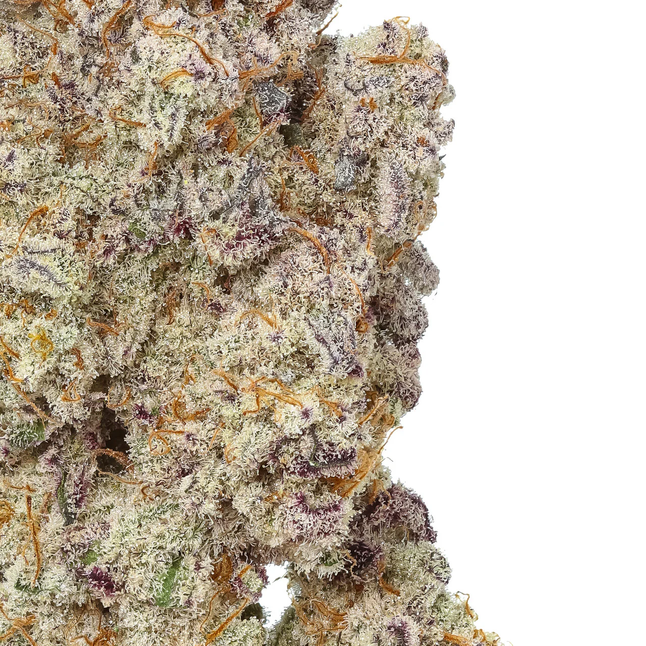 MAC1 THCa Flower - Image 2